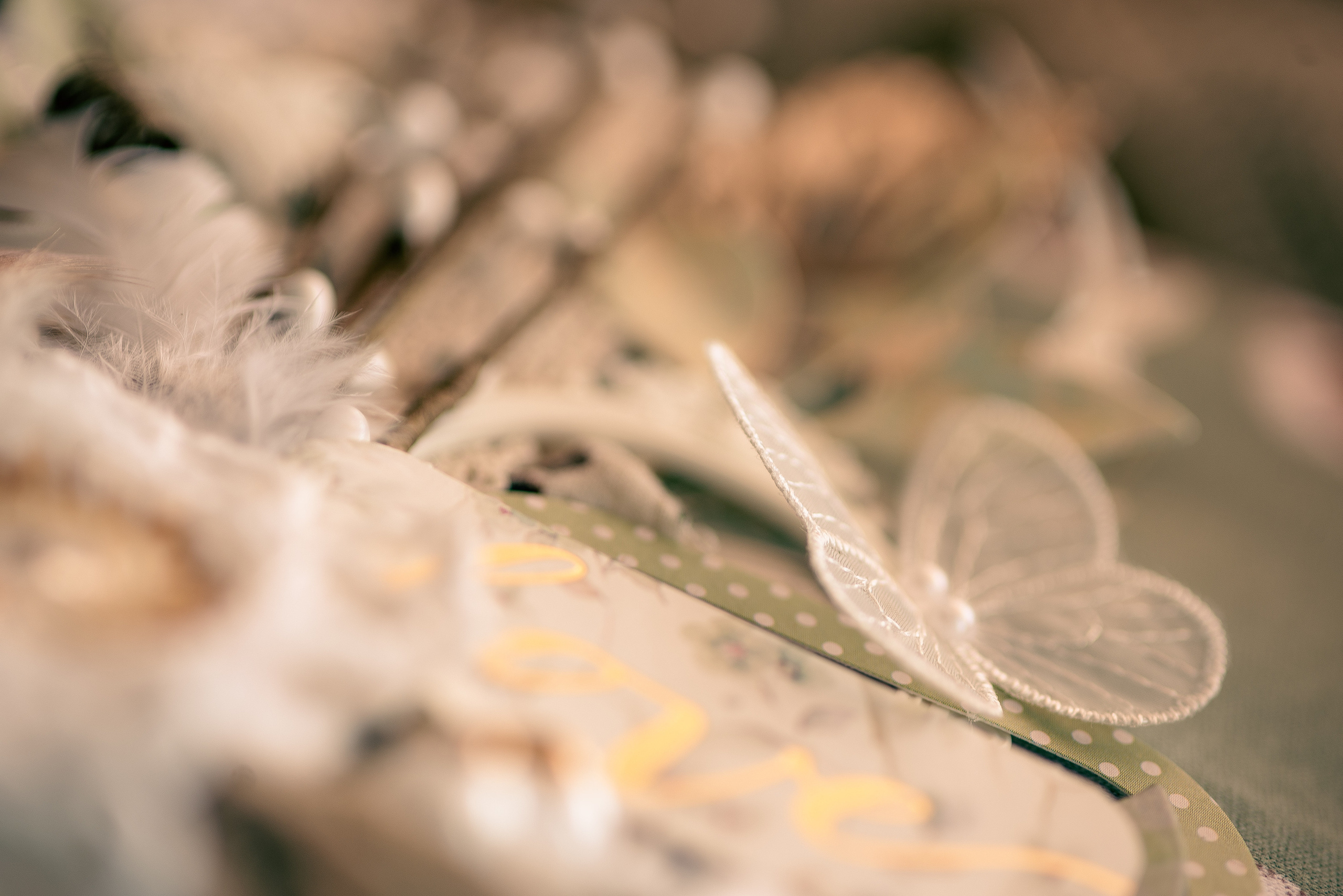 Предметная съёмка. Фотограф в Краснодаре Марина Курбанова