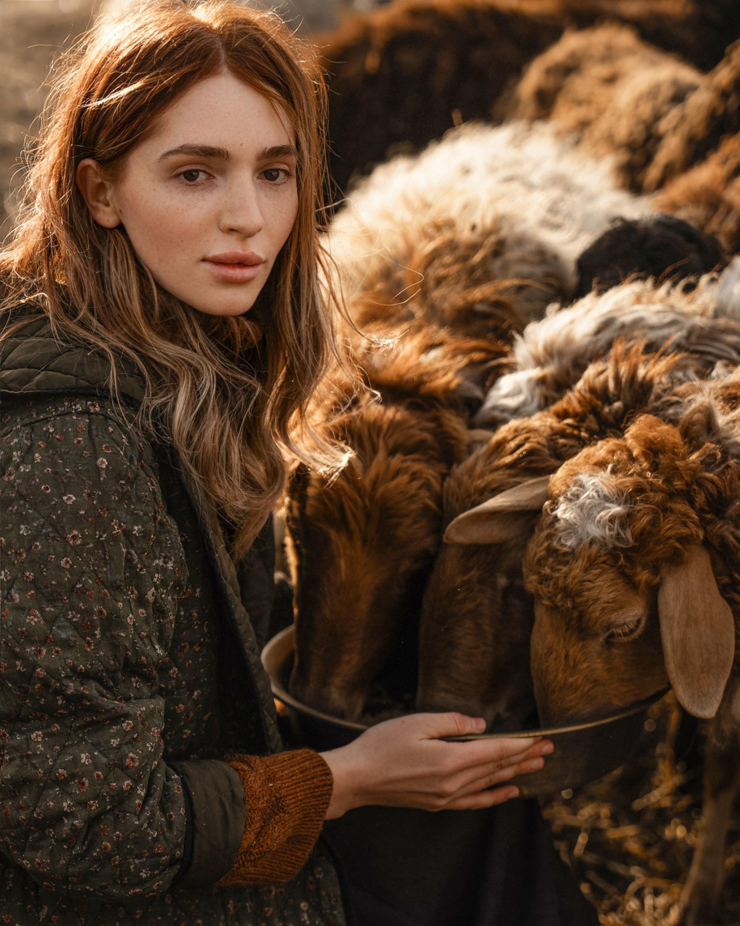 Альпийская история. Фотограф Юлия Павлова Красноярск