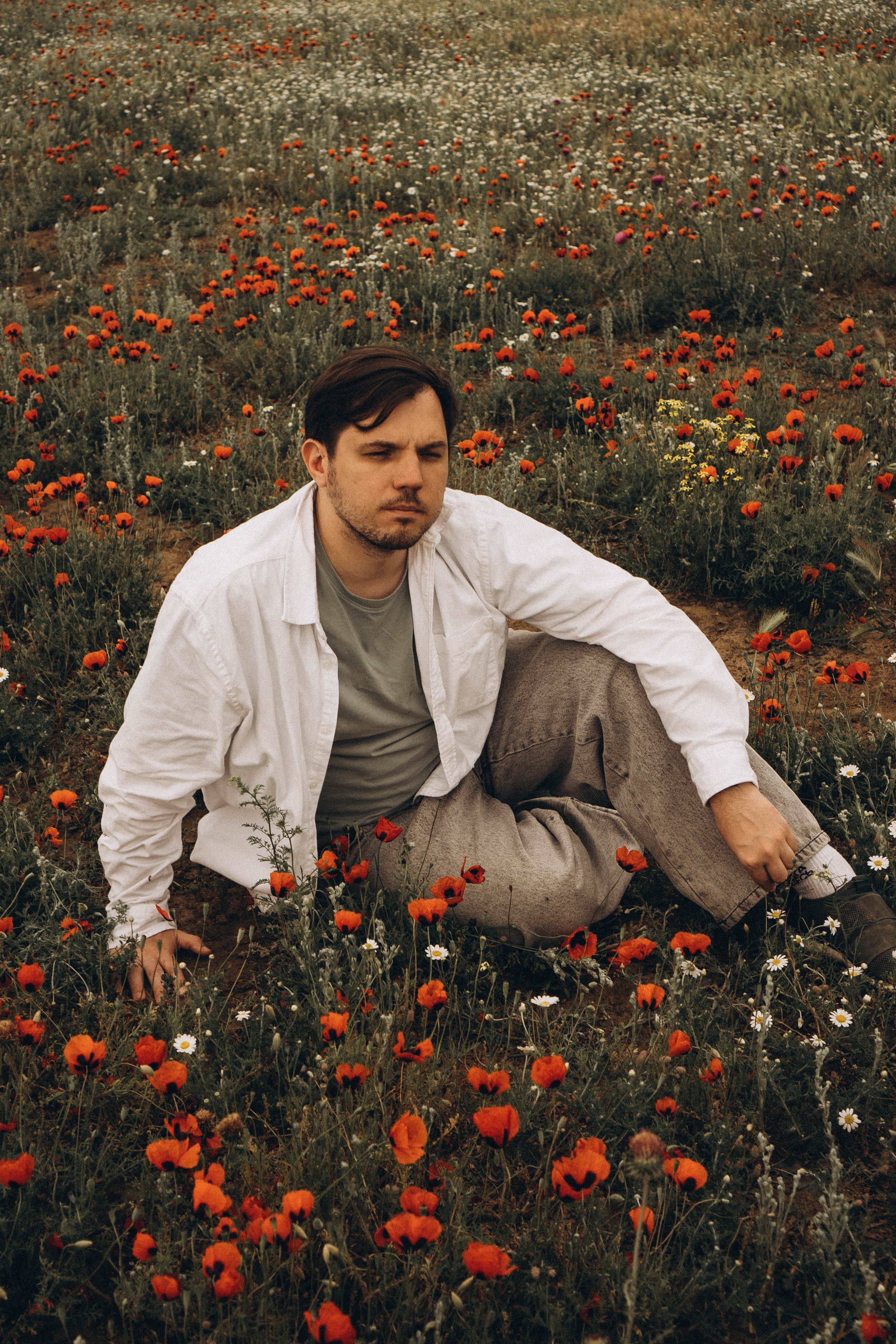 Маки. Профессиональный фотограф, Санкт-Петербург — Виктория Богомолова