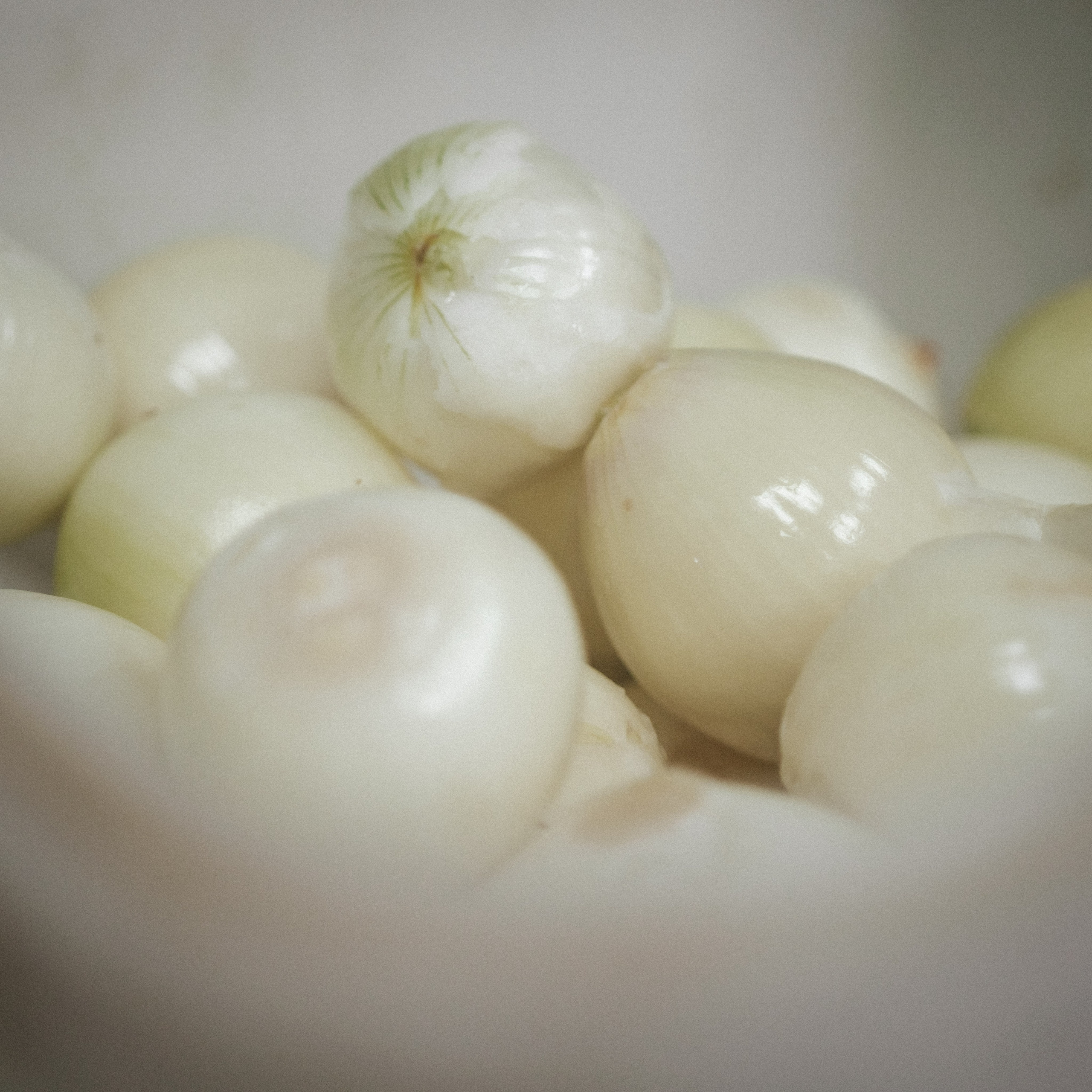 Снова готовка для кормления бездомных. Фотограф в Москве Максим Скоробогатов