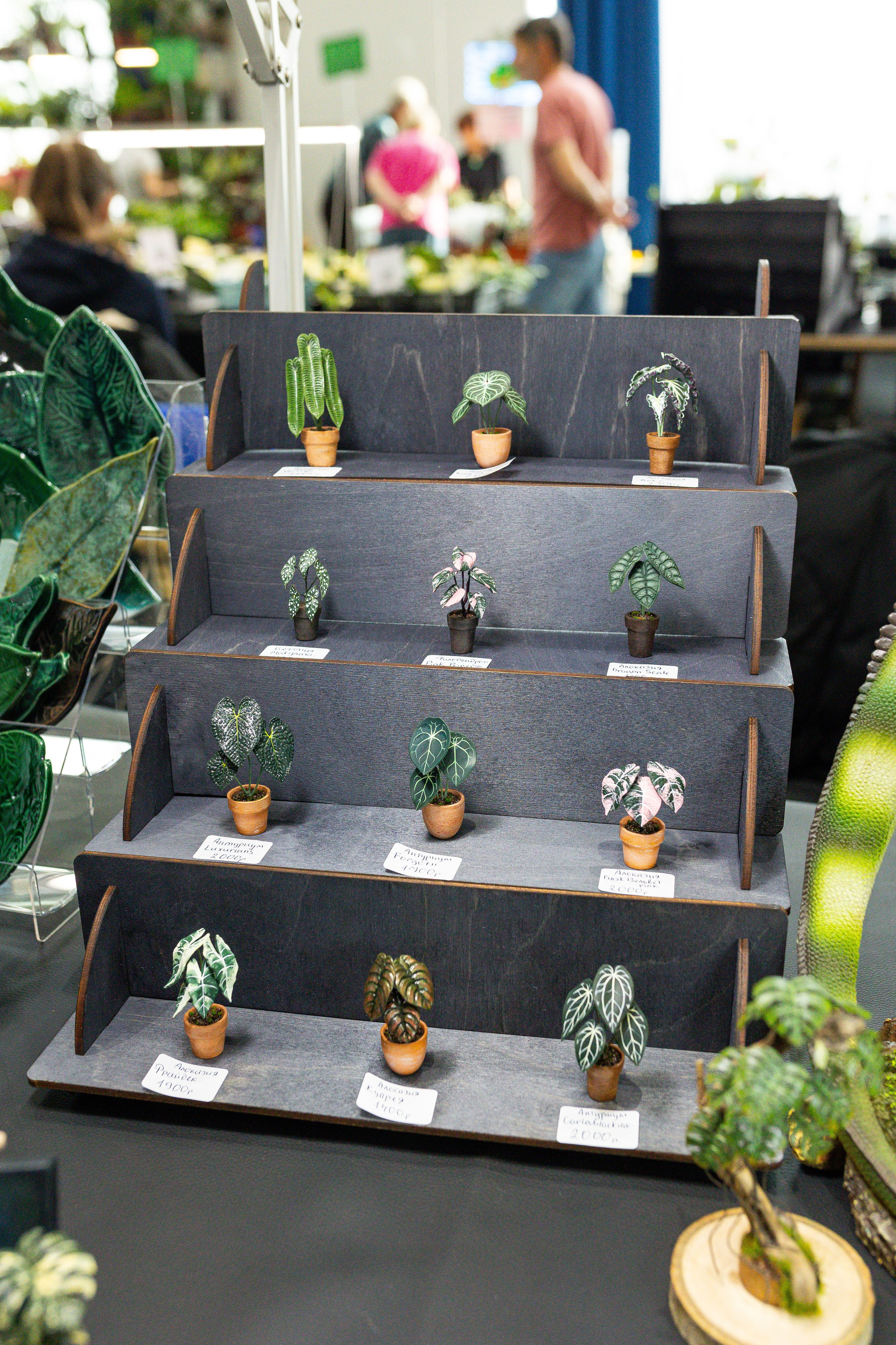 Монстериум апрель 2025. Александра Куликова фотограф, Москва