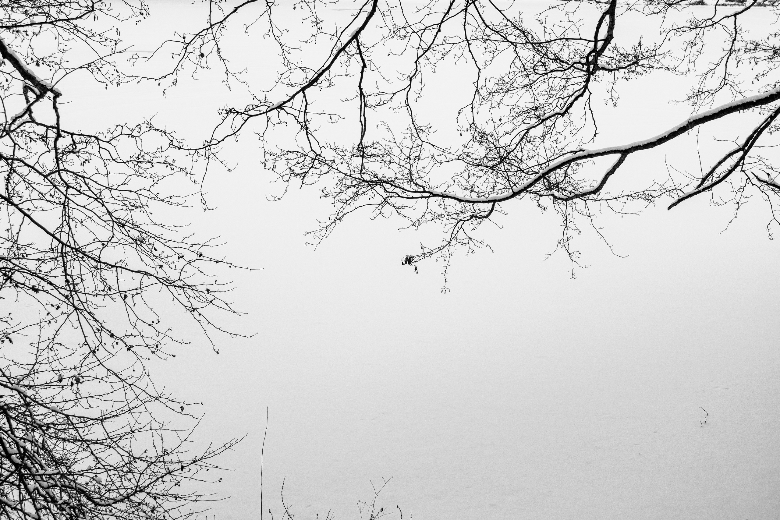 Декабрь. Портретный и архитектурный фотограф в Москве и Санкт-Петербурге