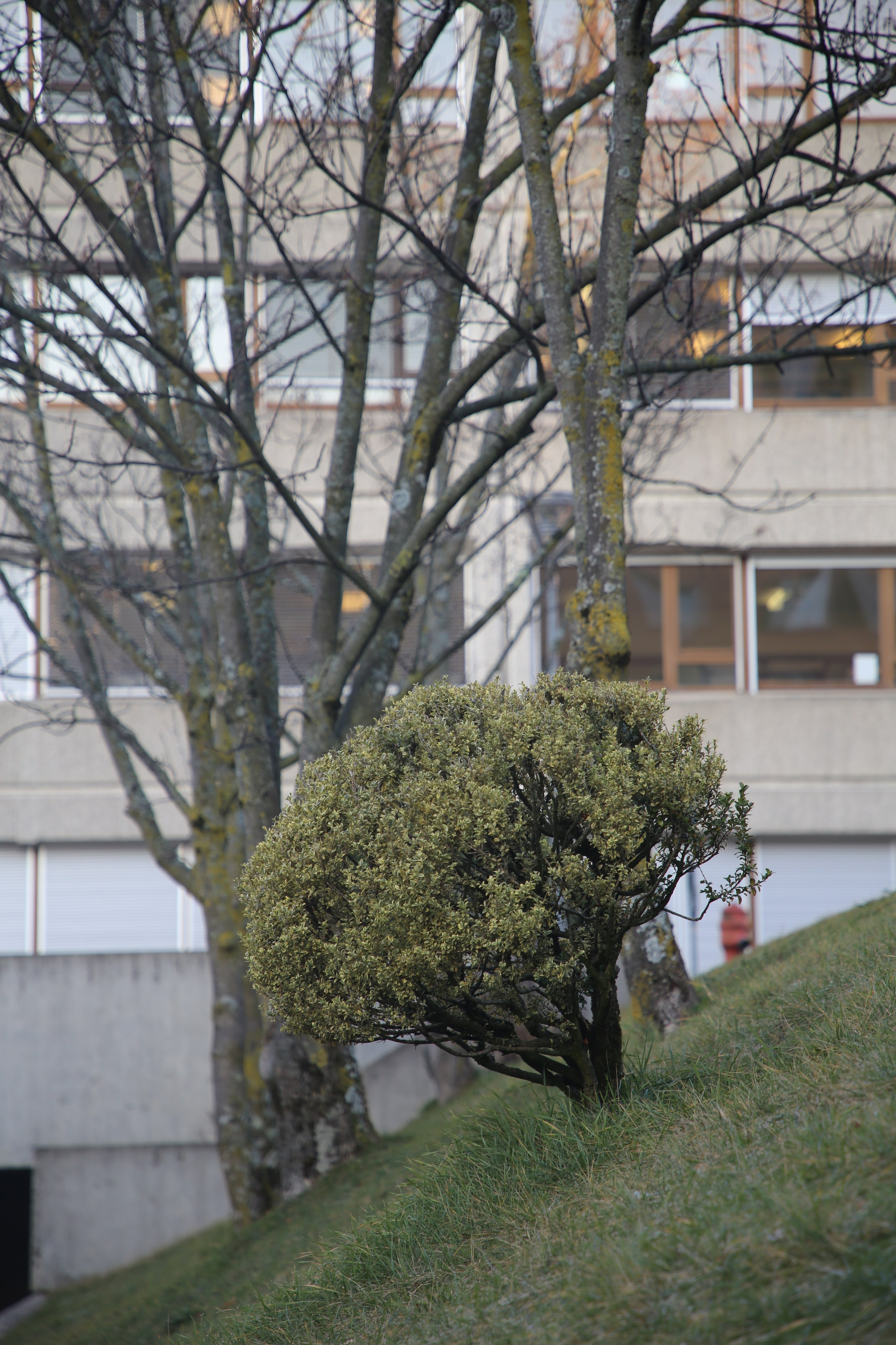 Geneva, Switzerland. Andrey Filippov Photographer