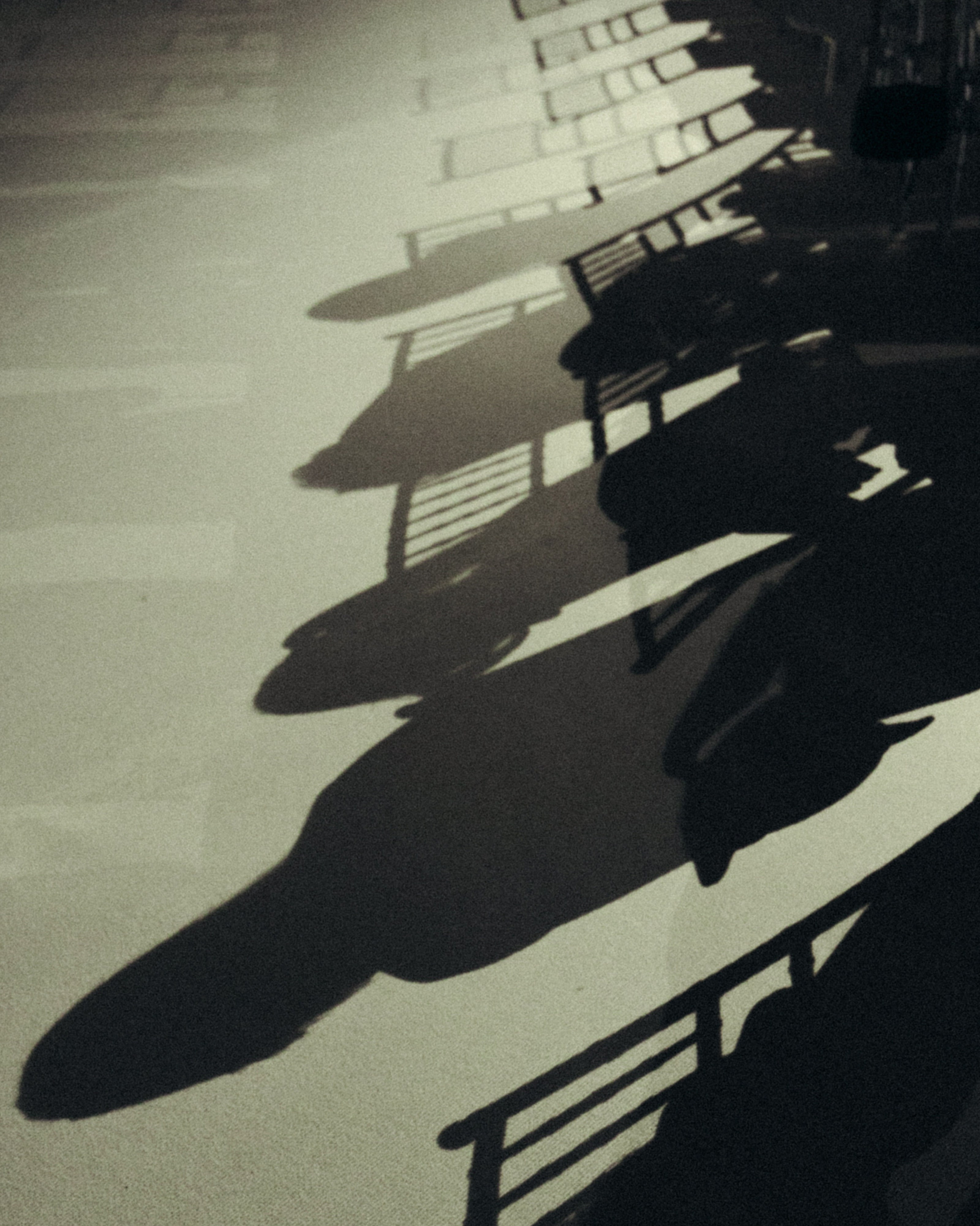 WA URAL 2025 by @alexandradmitrievaph. Свадебный фотограф @alexandradmitrievaph