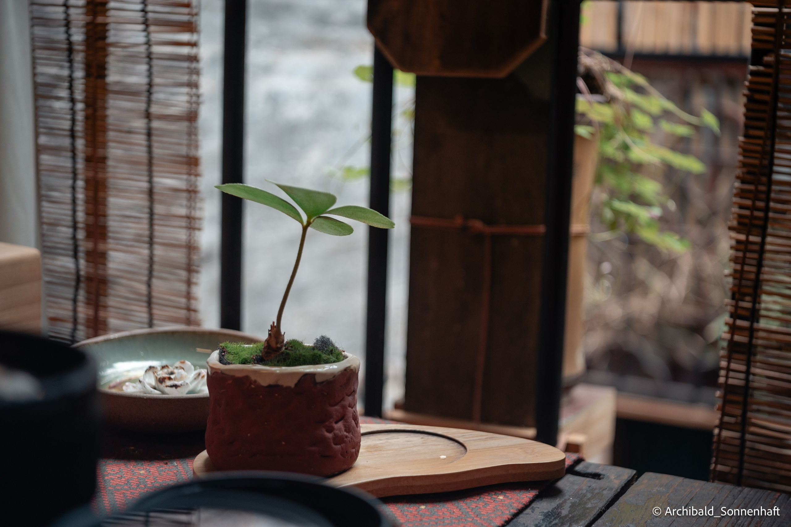 Walking in GZ, sunday. Photographer in Guangzhou, China. Archibald Sonnenhaft