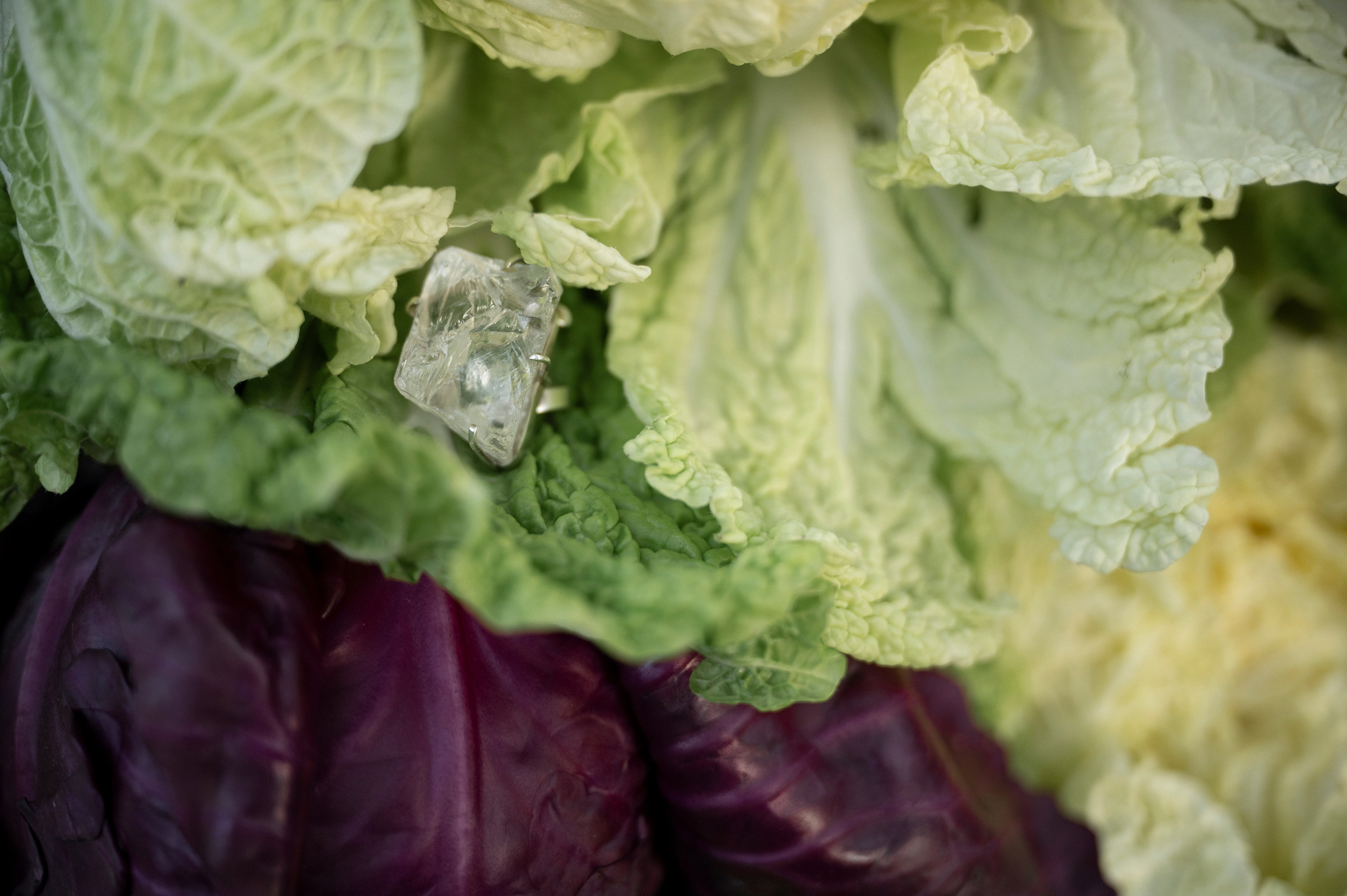 Ты выбираешь чудеса. Фотограф Евгения Мирошниченко