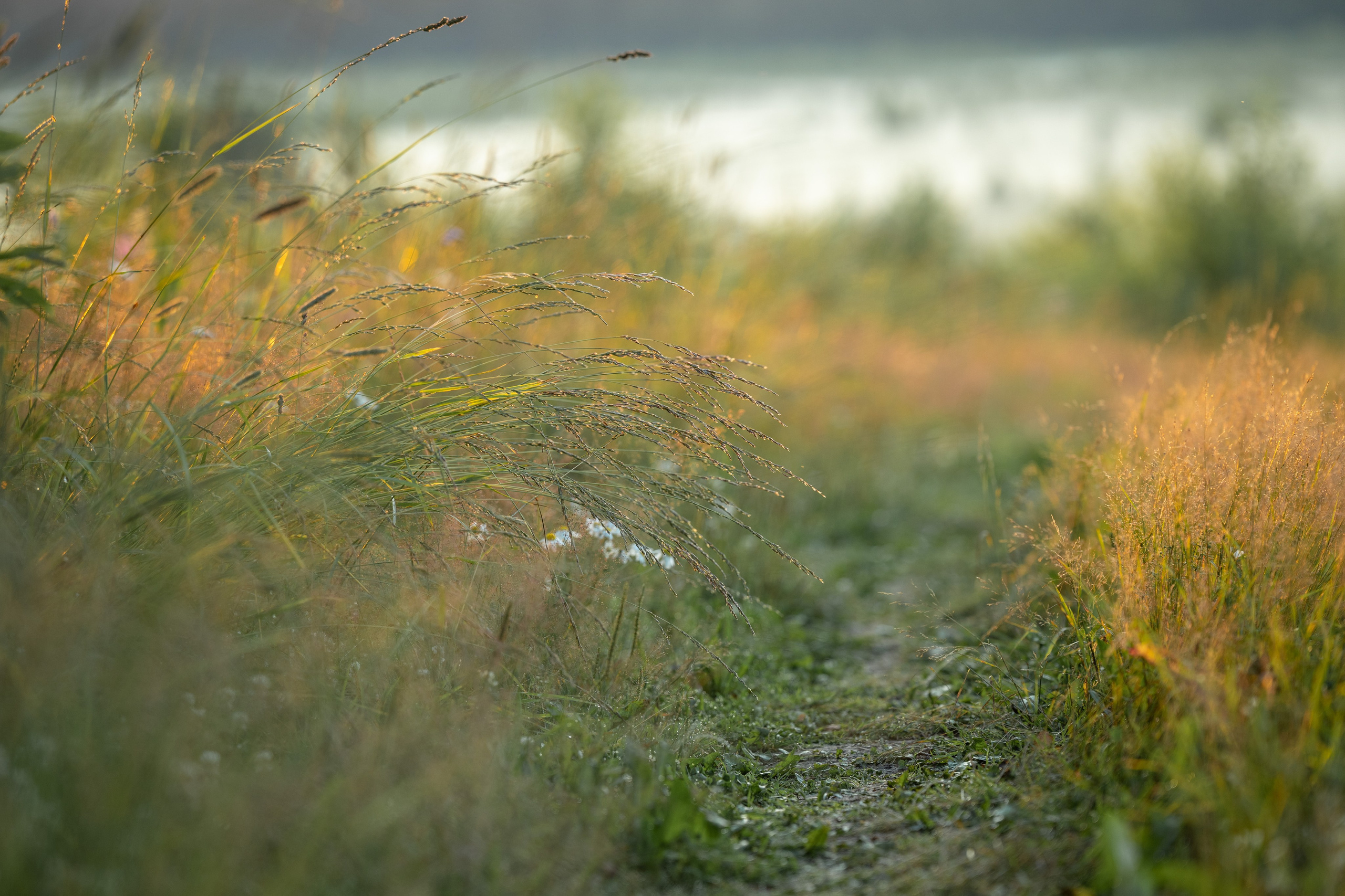 Природные пейзажи. Наталия Клевинскас портретный фотограф в Костроме