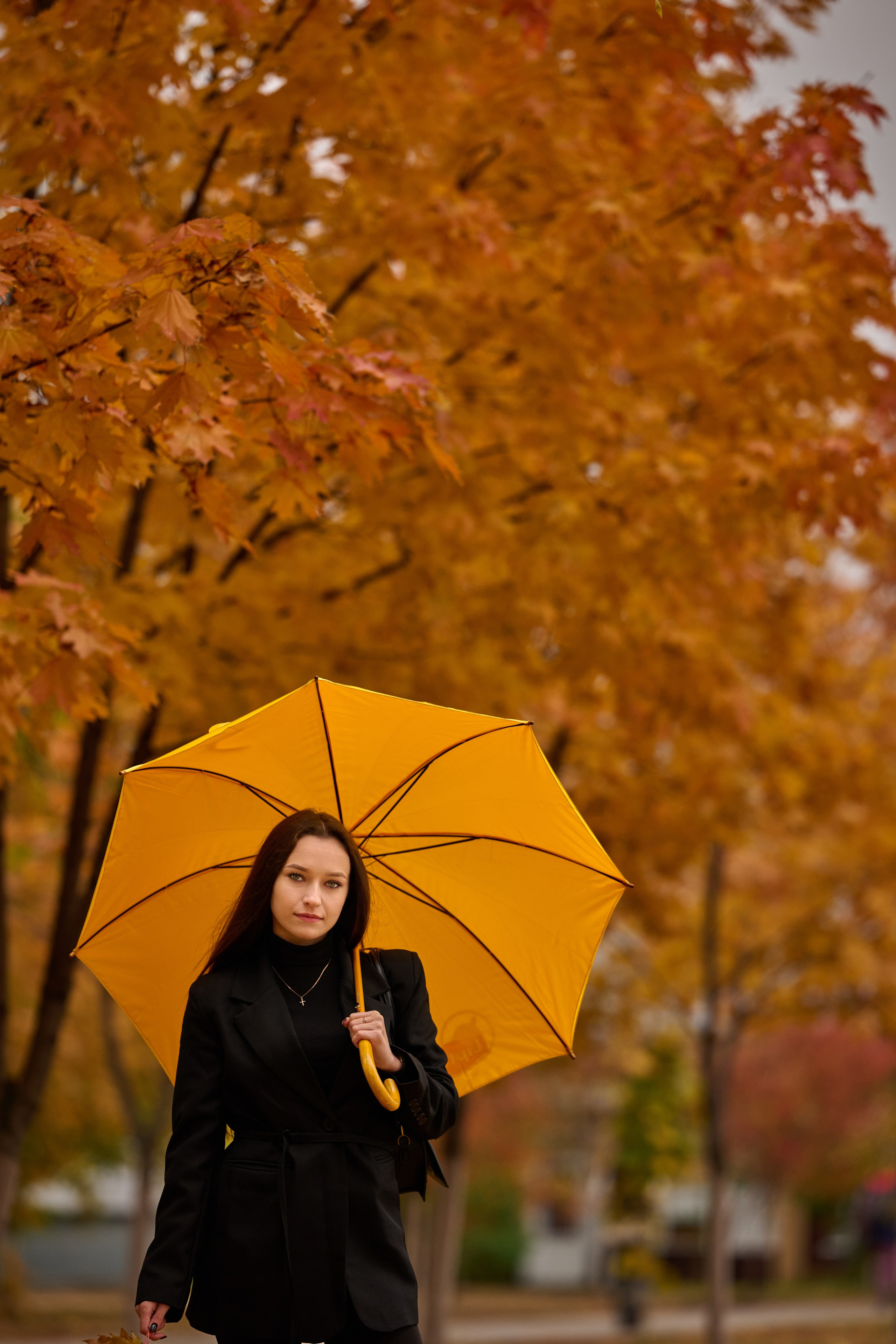 Золотая осень в Старом Осколе