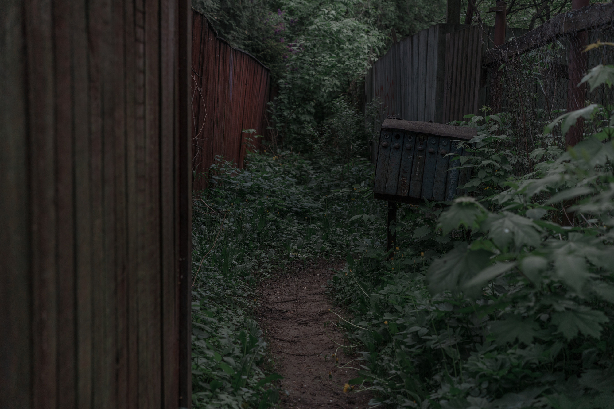 Train to the Dead-End. Mixed-media artist