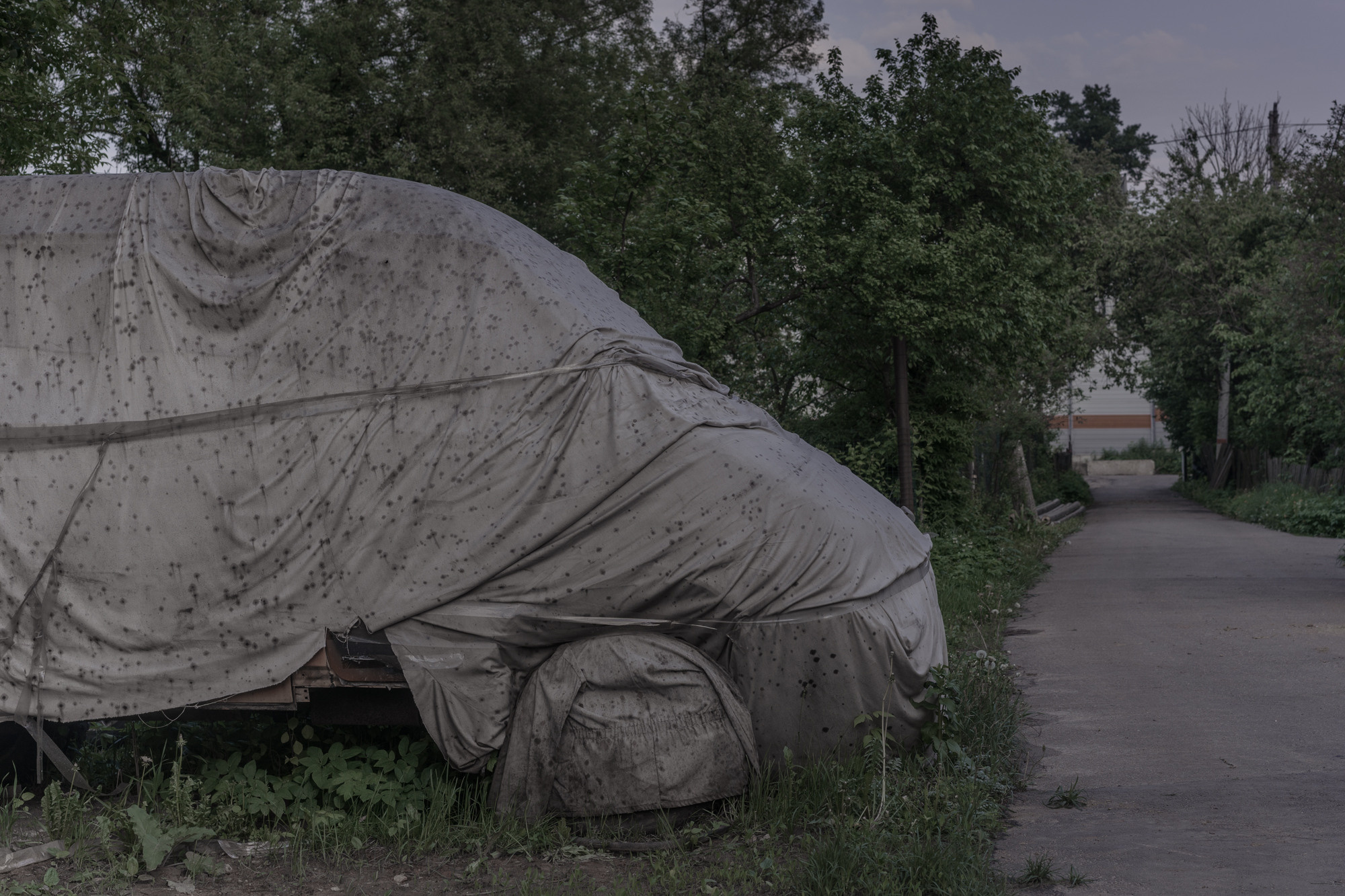 Train to the Dead-End. Mixed-media artist