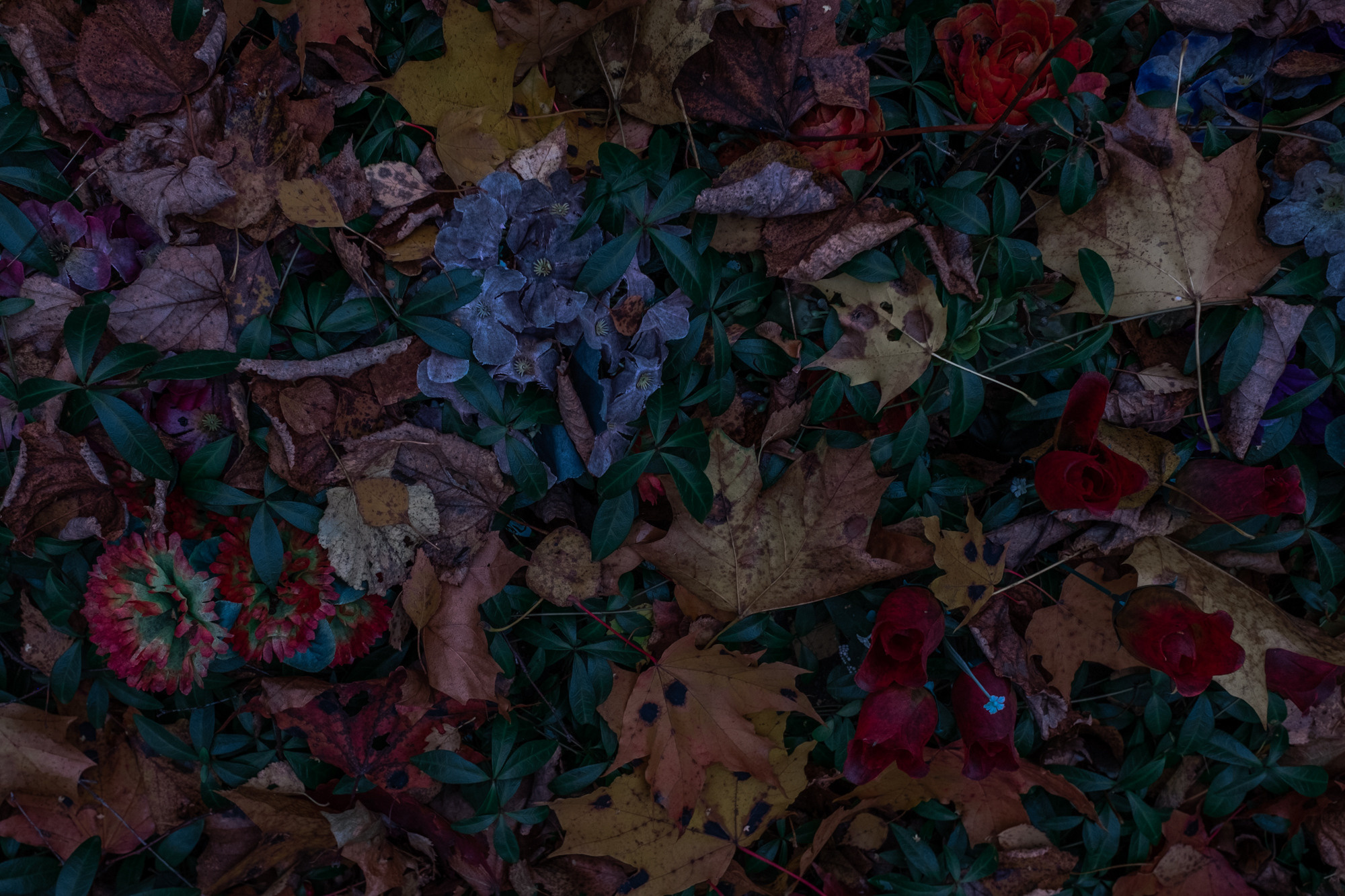 Вечность без запаха. Художница