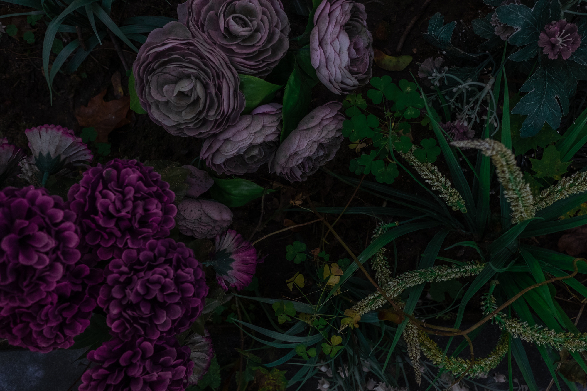 Вечность без запаха. Художница