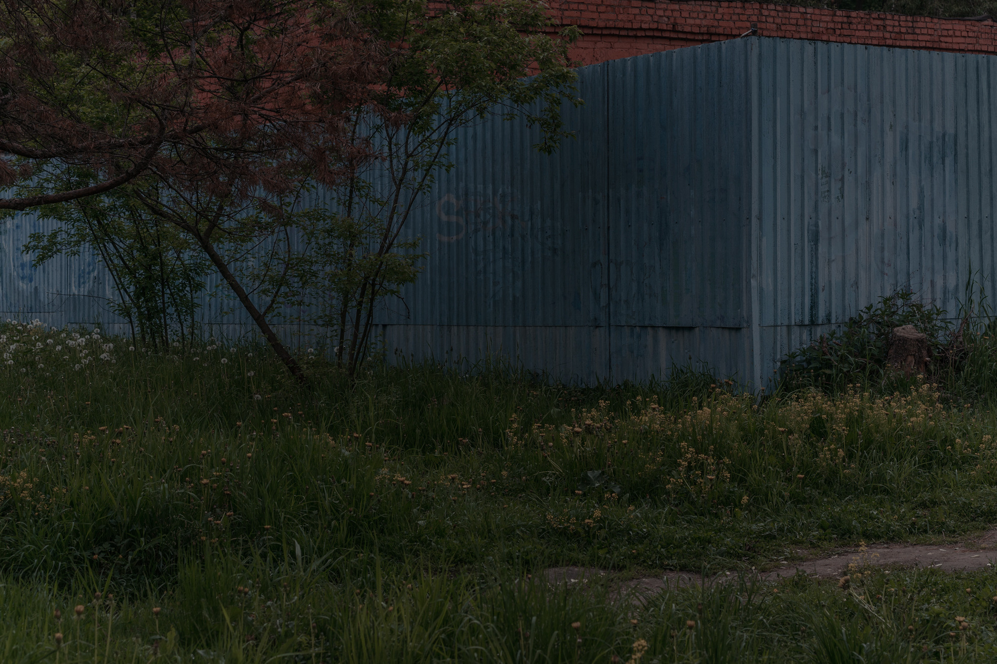 Train to the Dead-End. Mixed-media artist