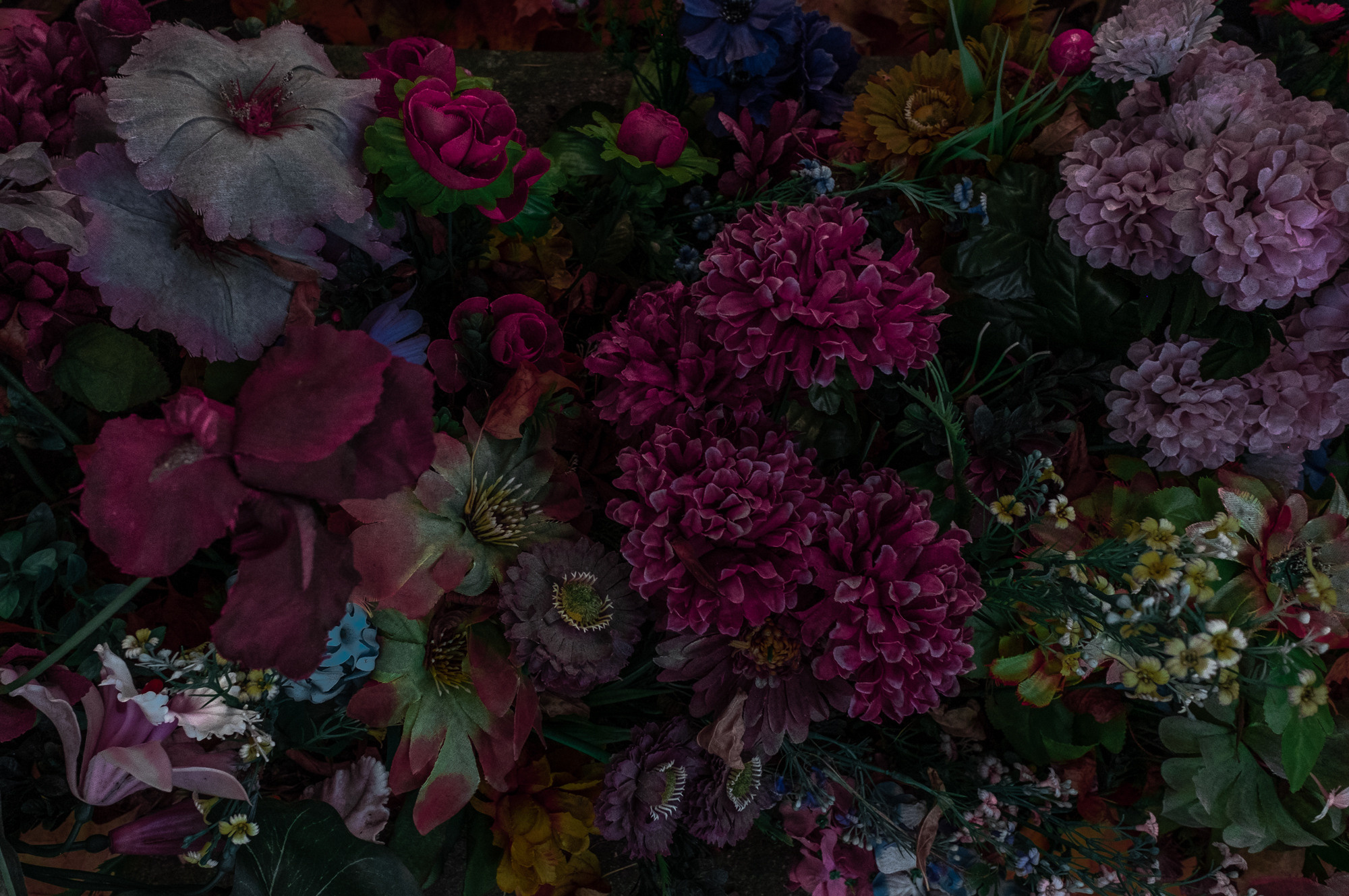 Вечность без запаха. Художница