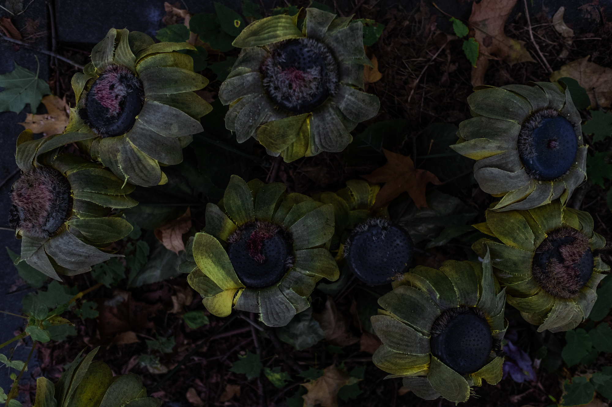 Вечность без запаха. Художница