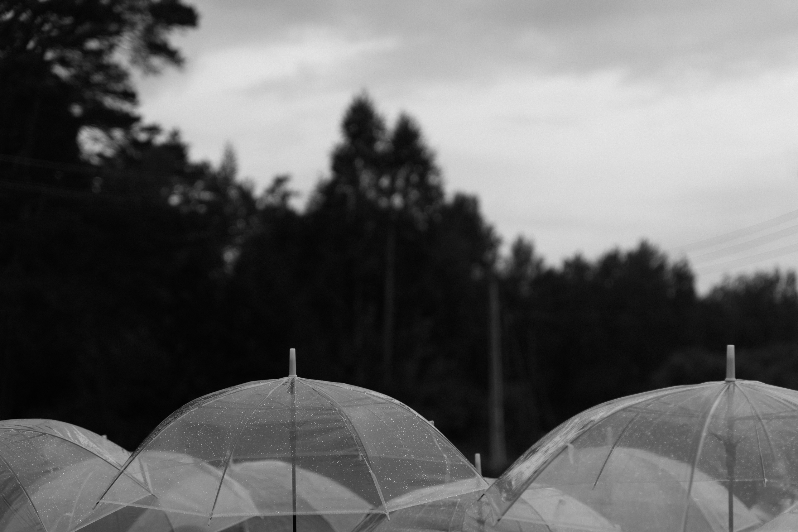 Wedding. Главная
