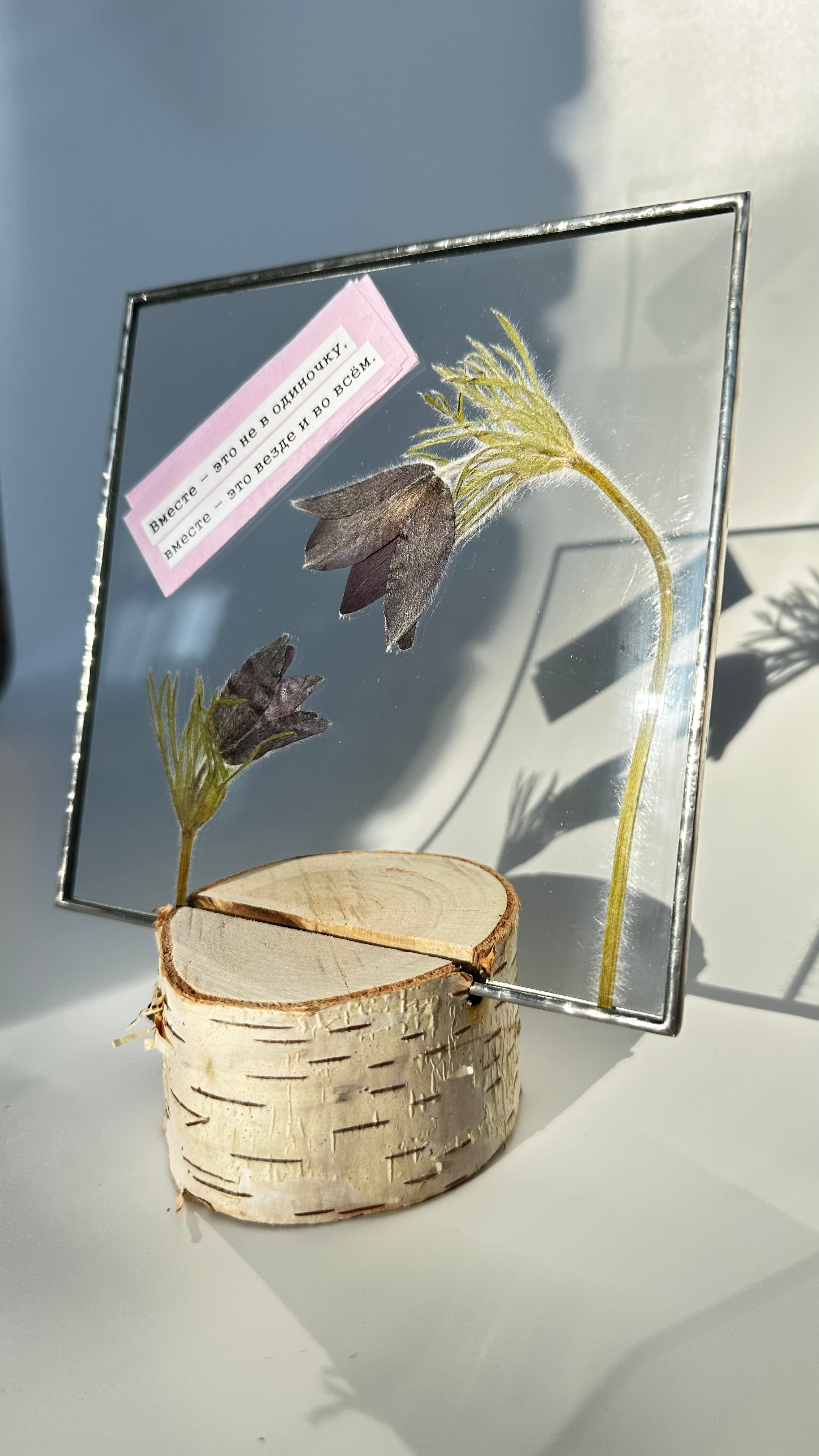 Гербарий в стекле с сухоцветами (витраж в технике тиффани). Гербарий в стекле, интерьерные панно, витражи с сухоцветами в технике тиффани