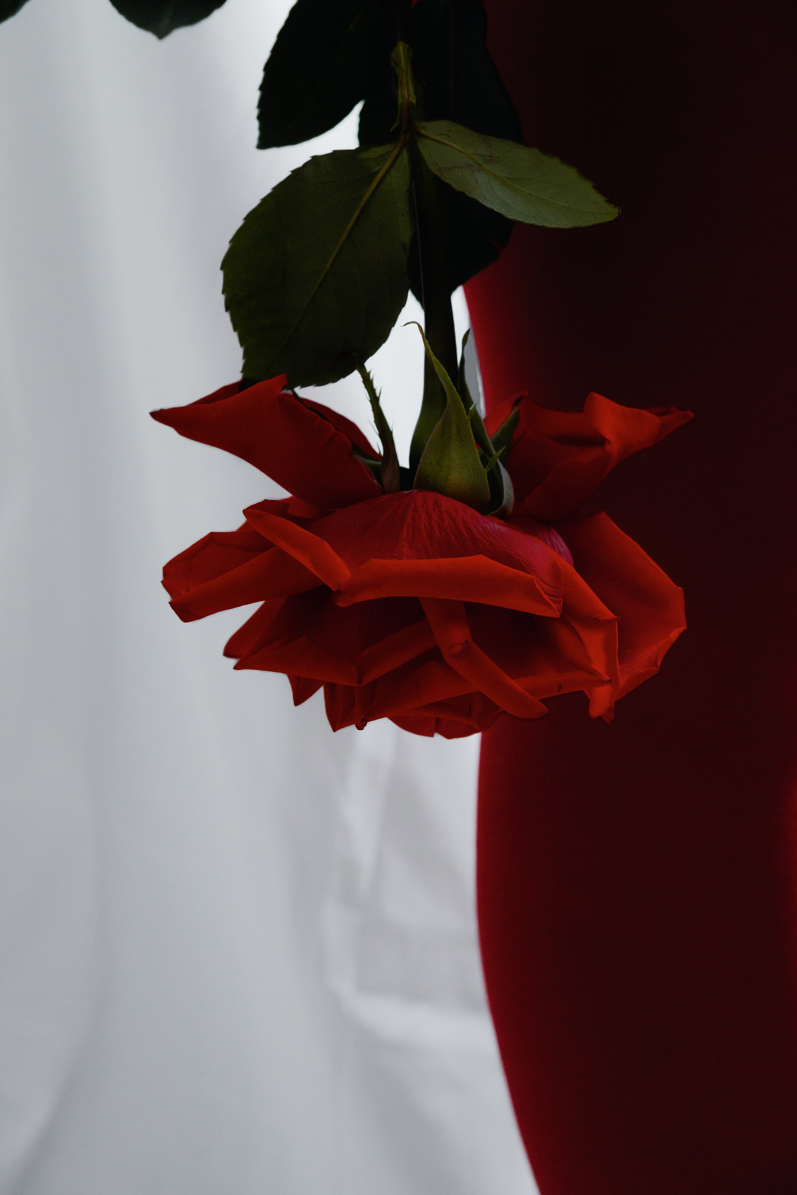 Надежда. Главная