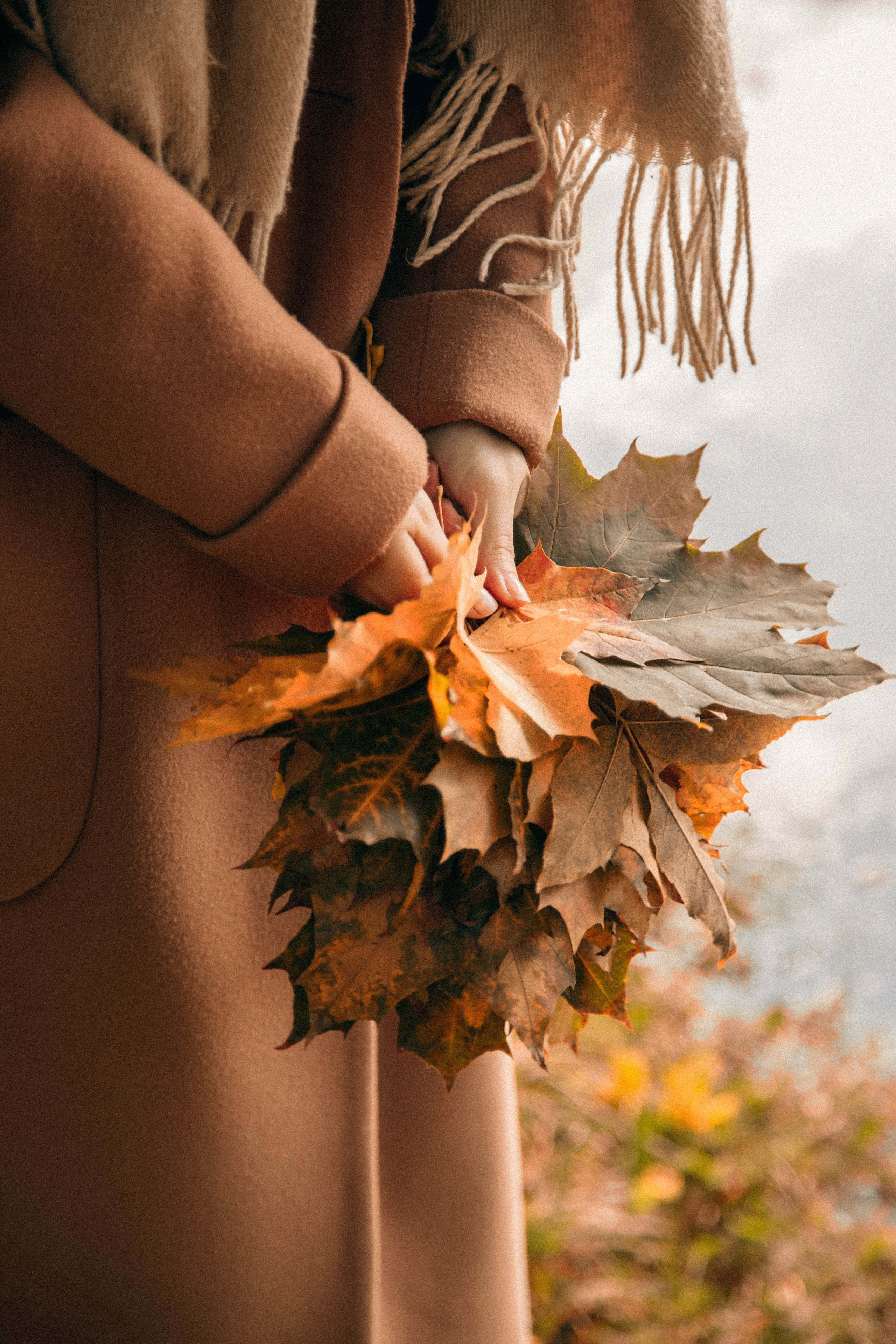 Марго осень. Семейный и детский фотограф в Санкт-Петербург. Natalia Fadel