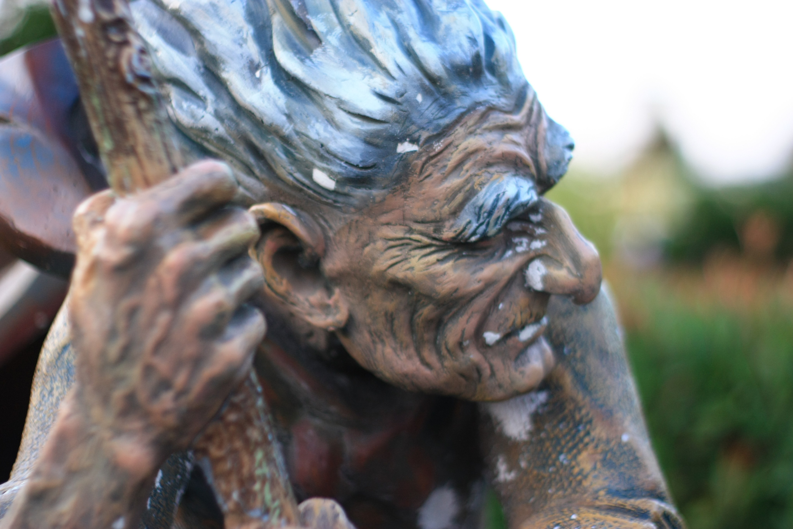 Первые кадры. Сочи — парк. Фотограф Роман Адлер