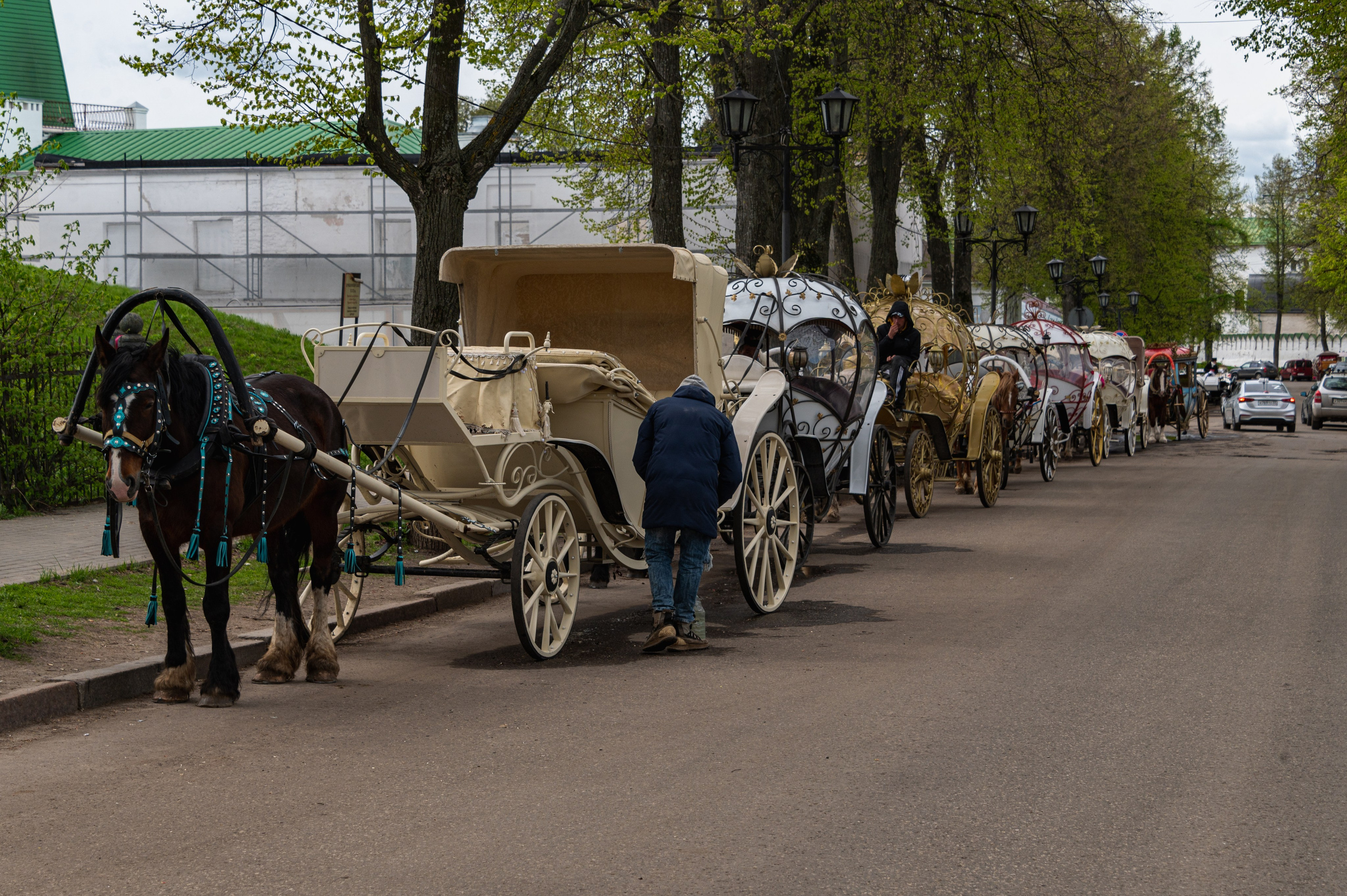 Суздаль. Май 2023. Фотограф Роман Адлер