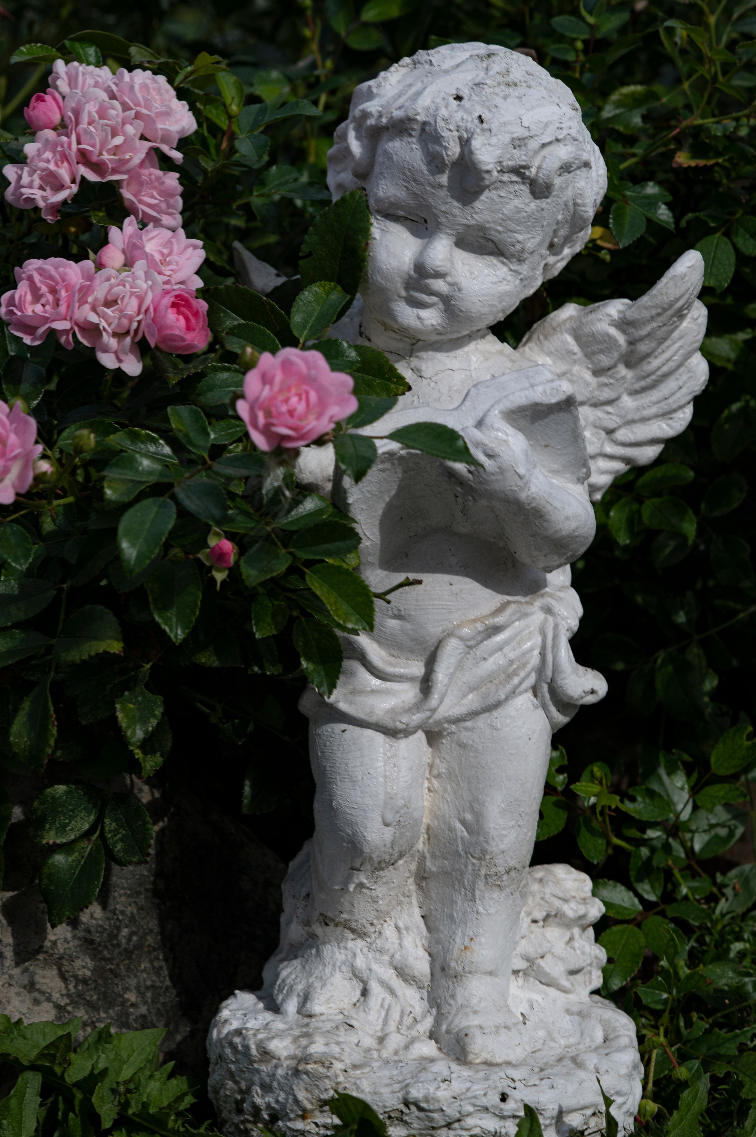 Муром. Сентябрь 2022. Фотограф Роман Адлер