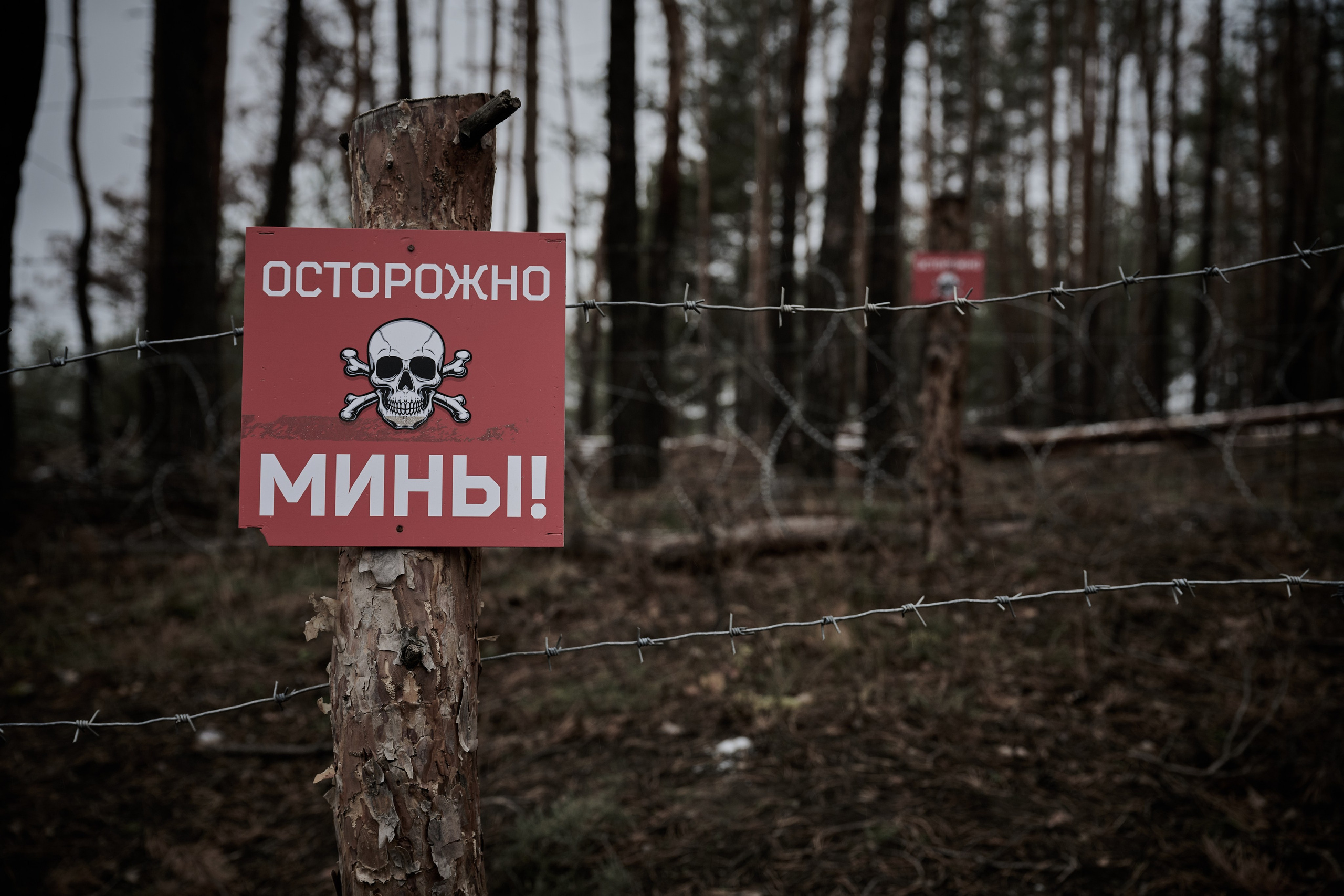 Съемки для фотопроекта Территории. Фотограф Роман Адлер