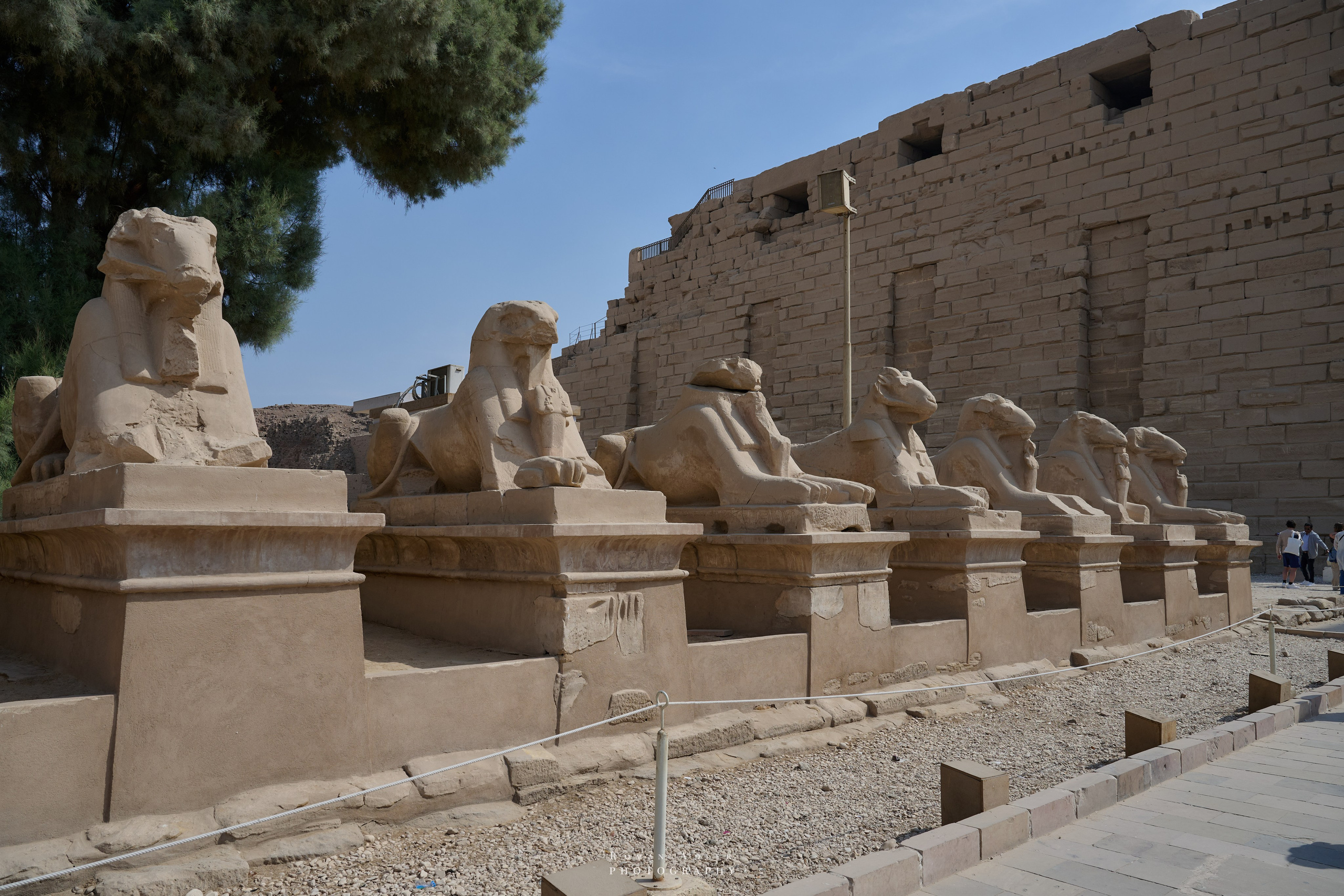 Луксор. Февраль 2025. Фотограф Роман Адлер