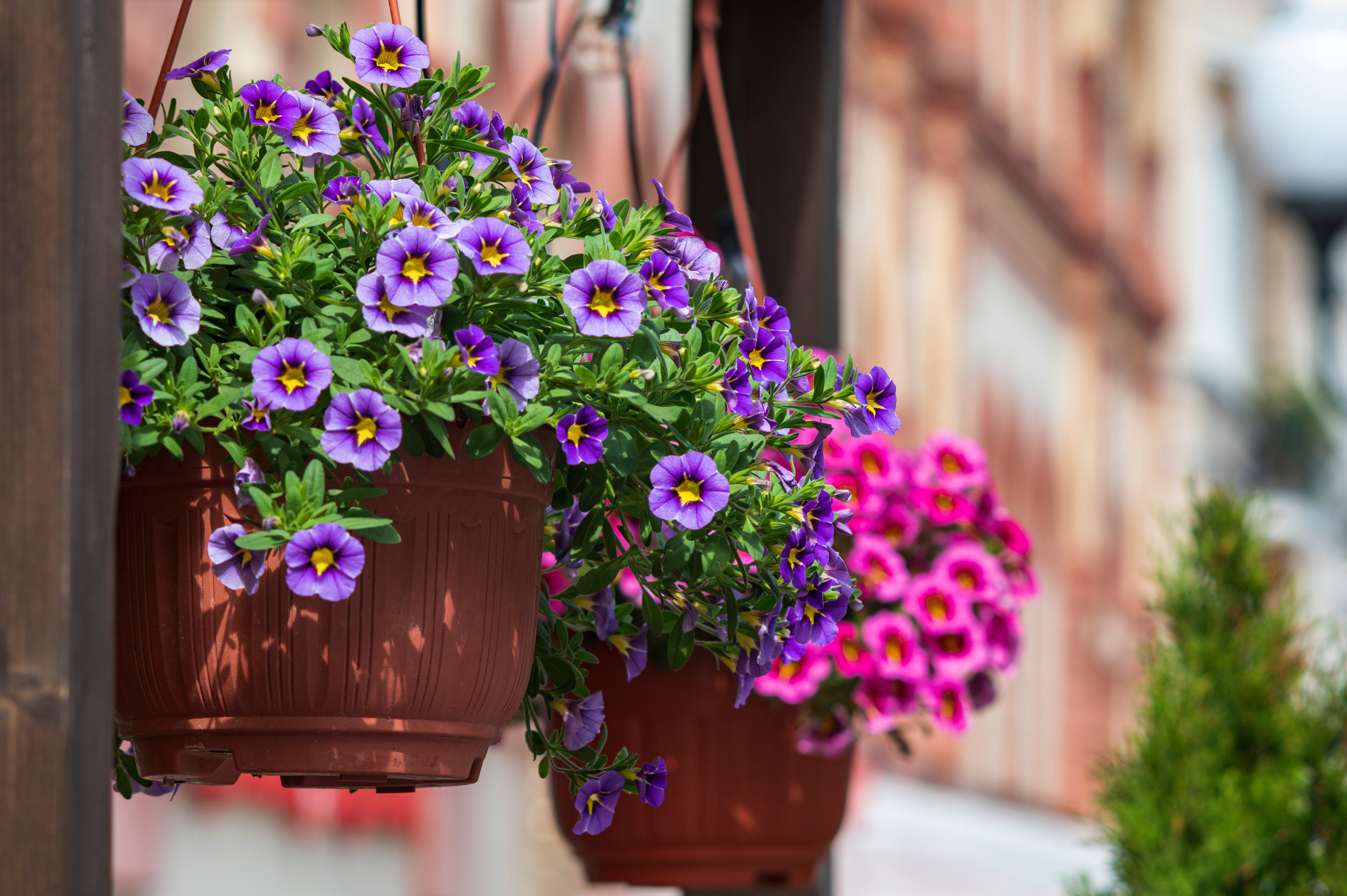 Фотопрогулка по Москве. Фотограф Роман Адлер