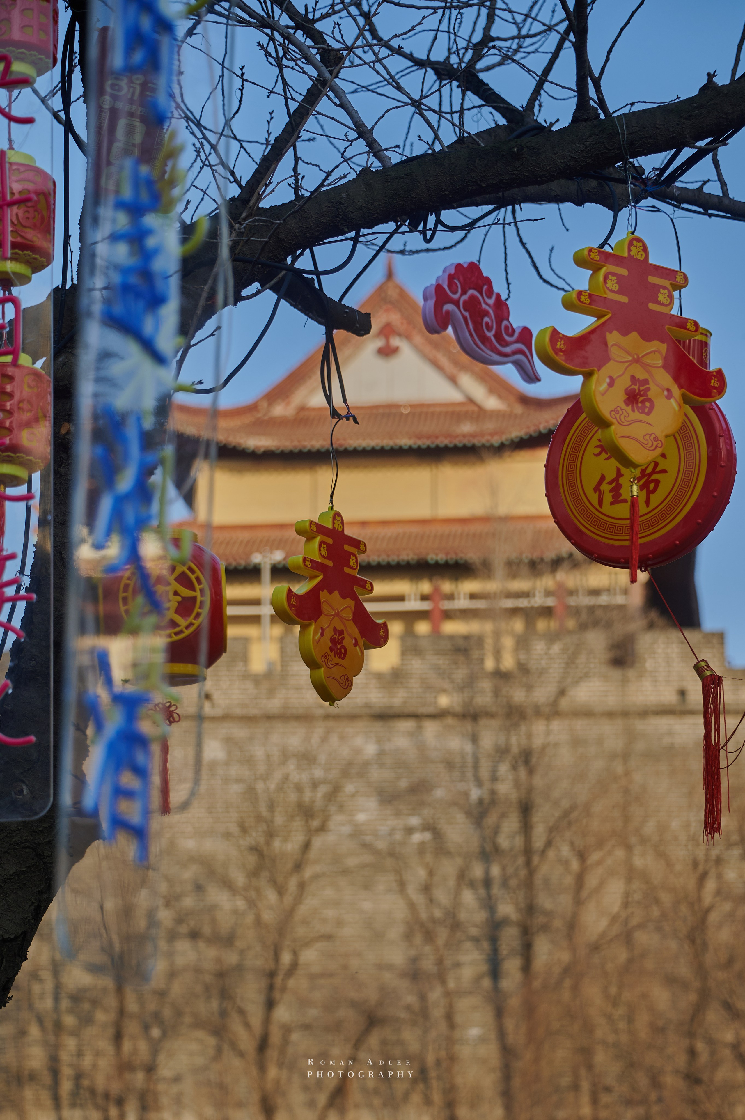 Городской парк Цинчжоу. Фотограф Роман Адлер