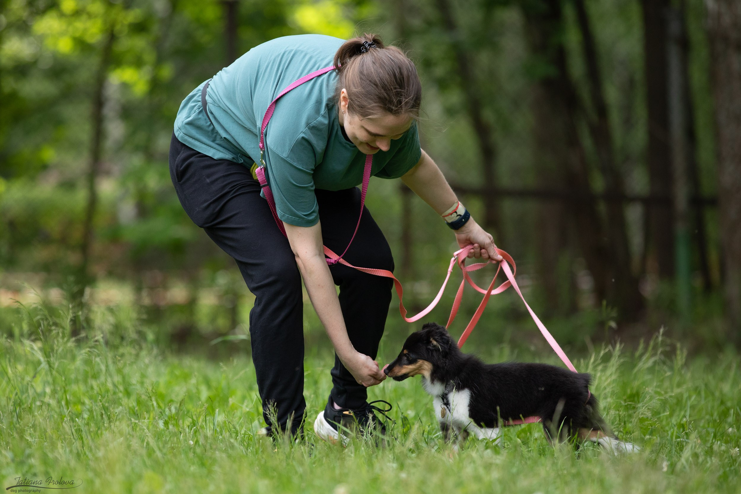 Репортаж с выводки молодняка колли/шелти в Ясенево. Фотограф-анималист в Москве и Московской области Татьяна Фролова