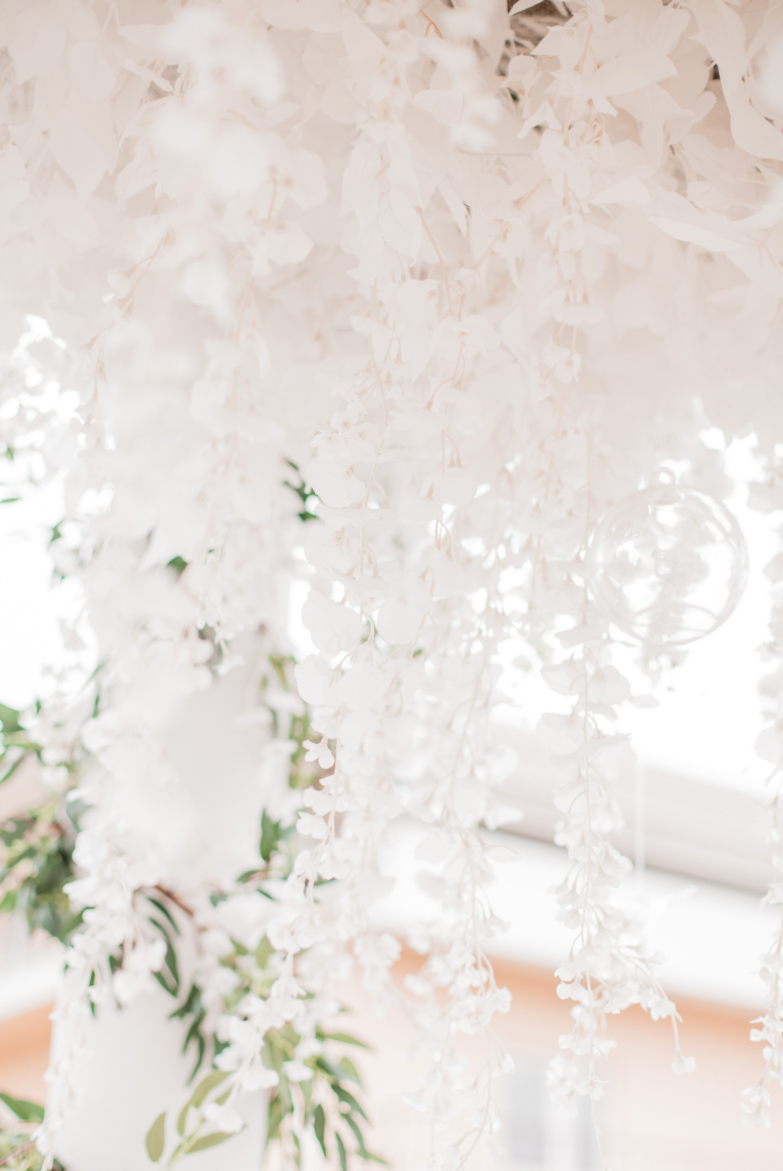 Николай и Аля. Свадебный и семейный фотограф в Краснодаре