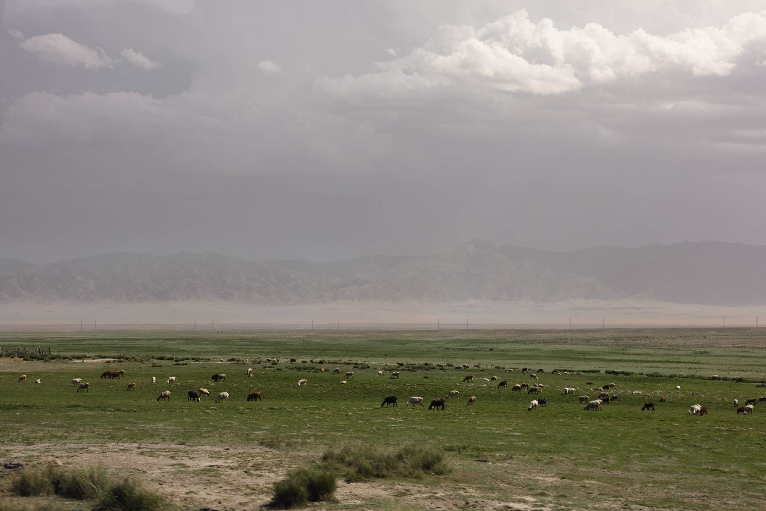 Здравствуйте! Я свадебный фотограф из Ульяновска, работаю в том числе по всей России и с выездом за границу. Снимаю свадьбы, lovestory, корпоративы, светский репортаж. Провожу обучение по фотографии, мастер-классы и воркшопы для других фотографов.