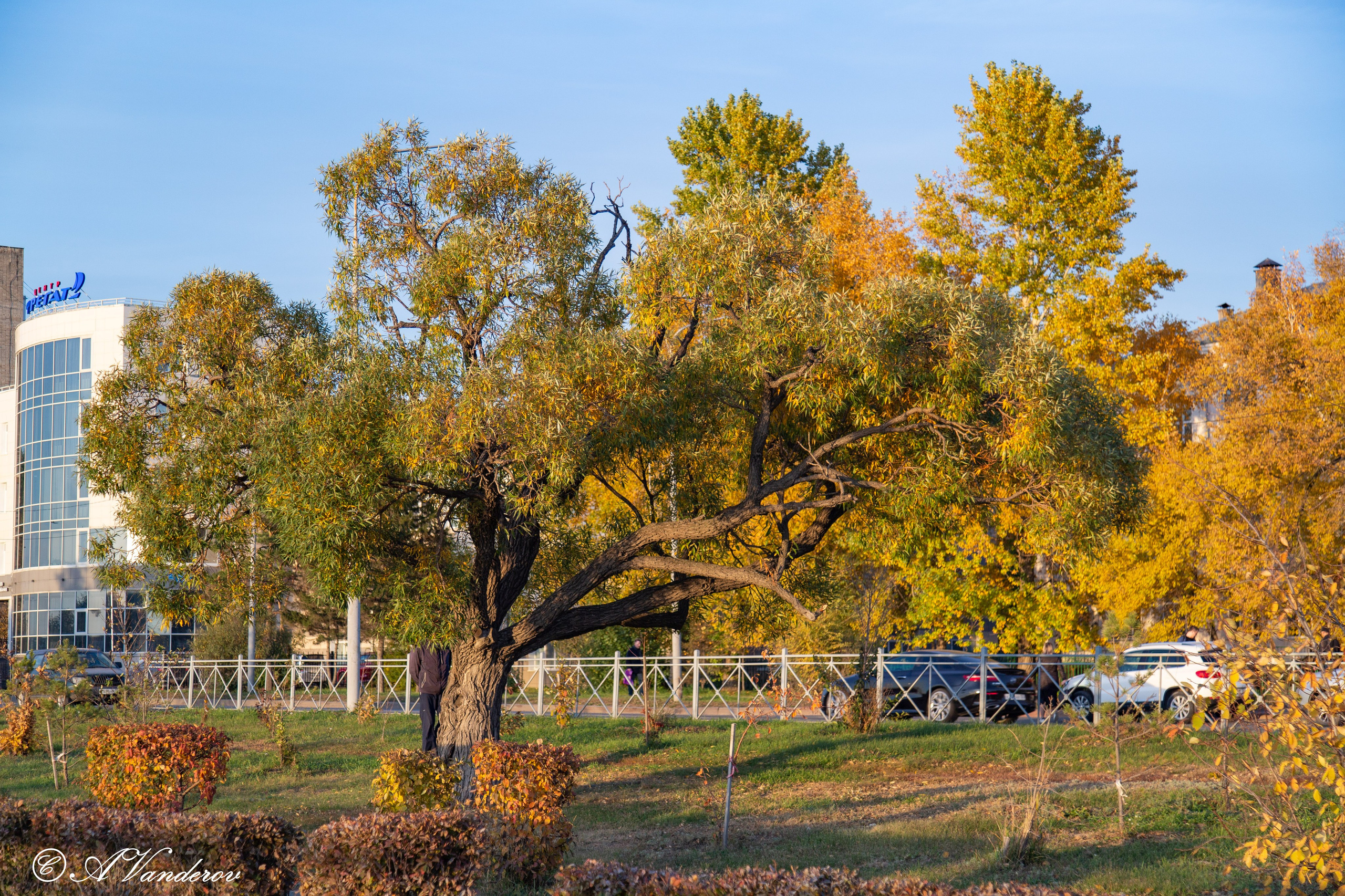 Красота природы. Фотограф Омск | Александр Вандеров