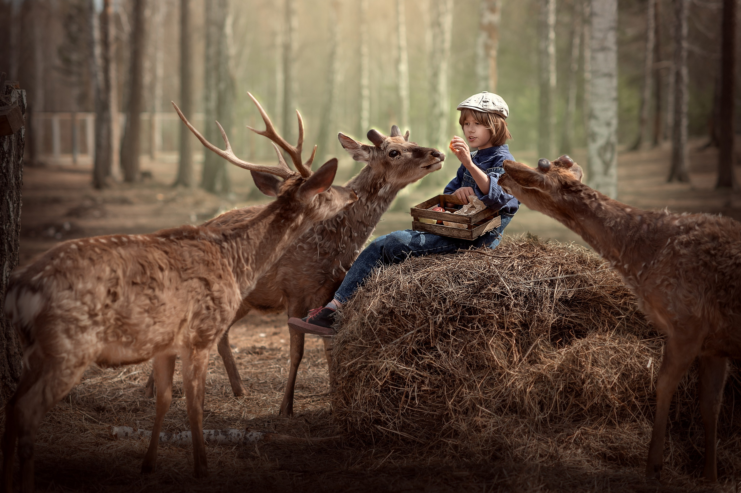 ОЛЕНИ. Семейный фотограф Екатеринбург Лора Мур