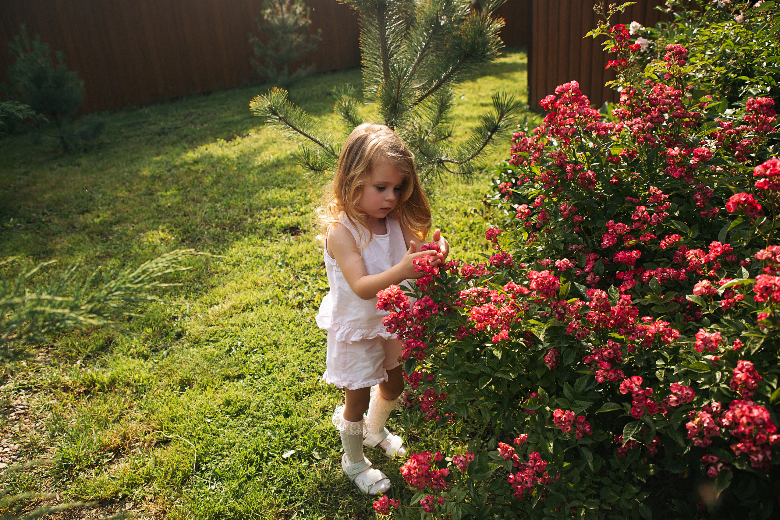 Кира. Свадебный и семейный фотограф/видеограф в Краснодаре Наталья Осинская