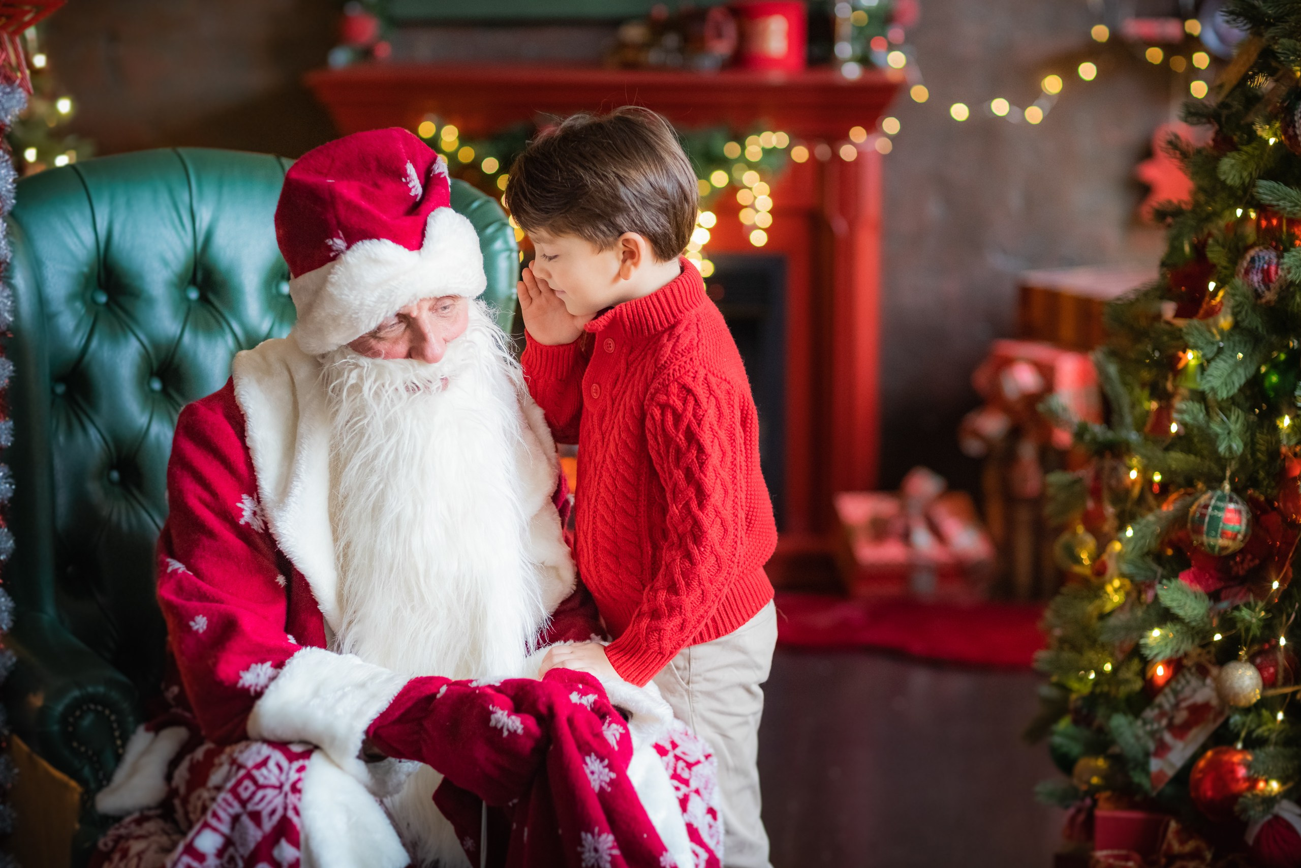 НГ ПФ Леонардо