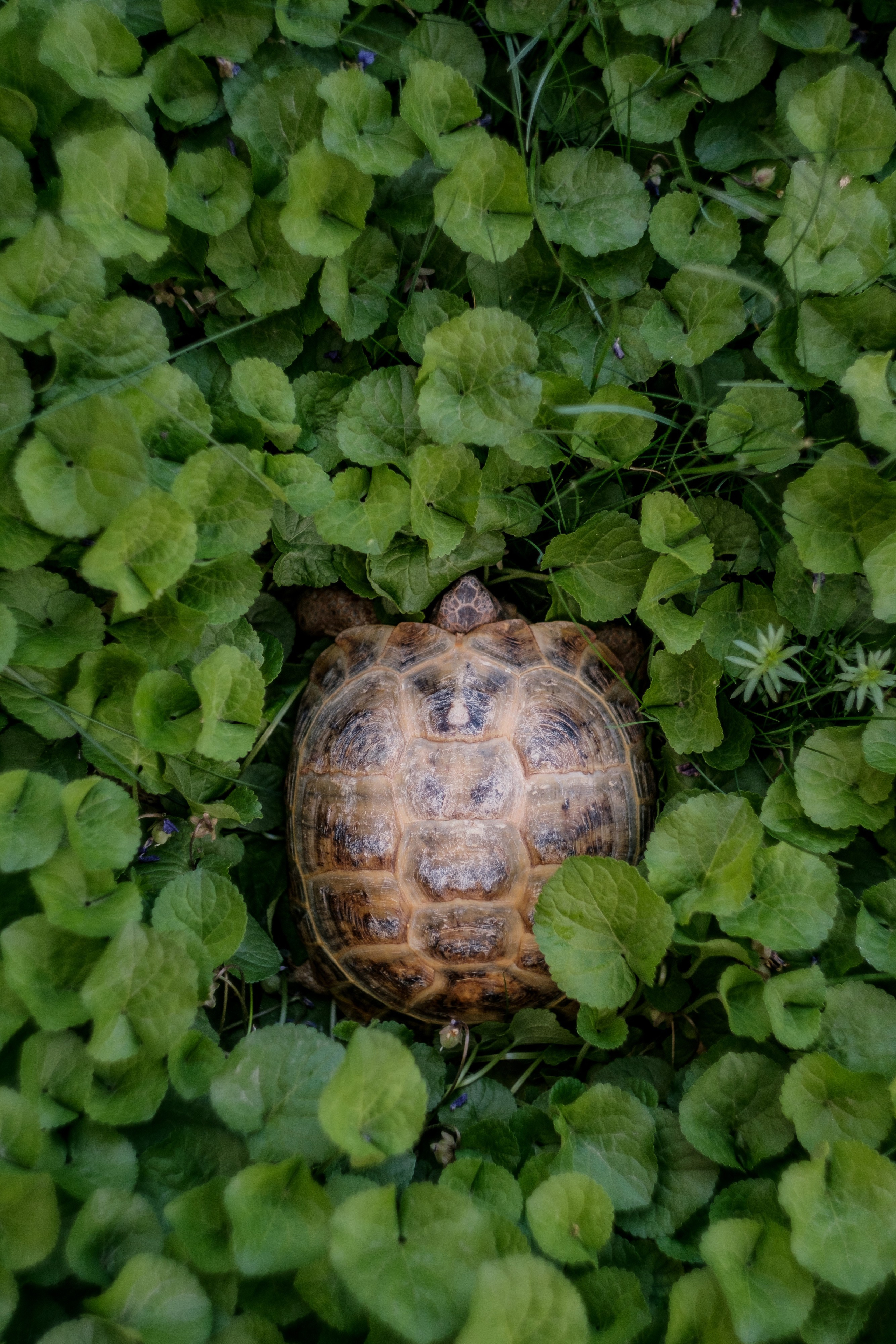 Узбекистан. Города. Фотограф Конопихин Константин
