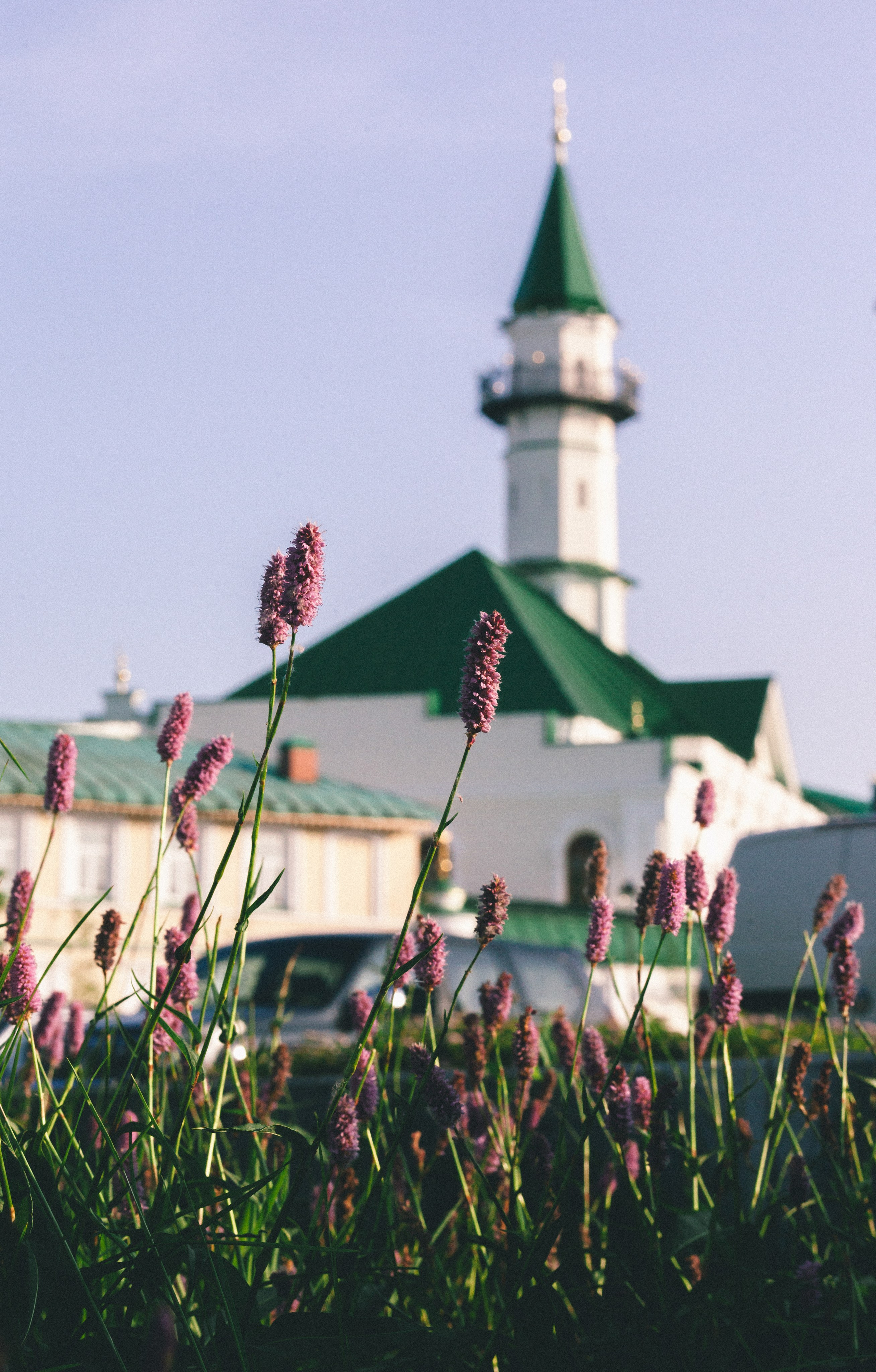Цветущая Гузель! 🌸 Экскурсия по Казани. Саида Шигапова