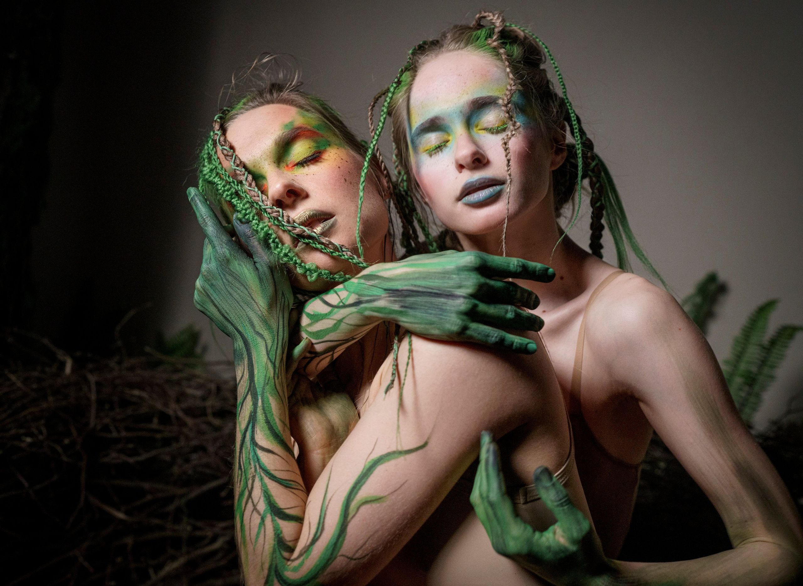 Гнездо. Фотограф Сергей Танков