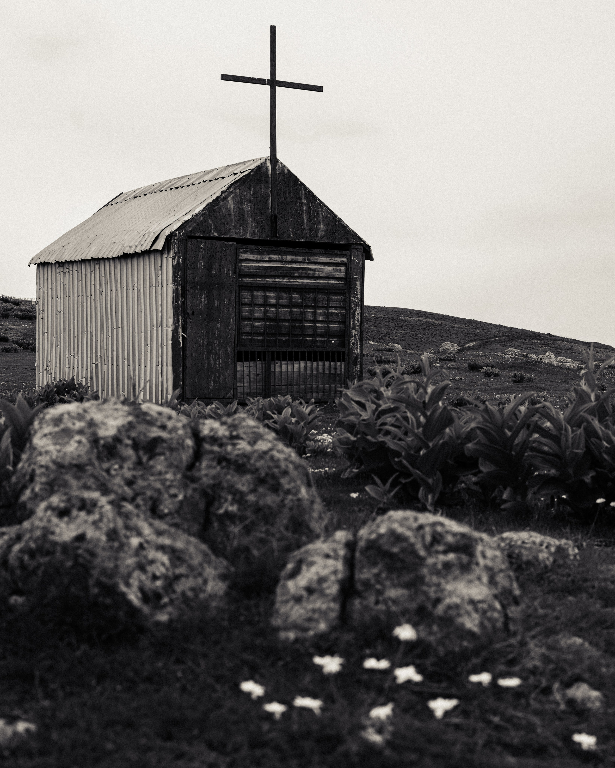 ГОМИС МТА. Photographer Barcelona