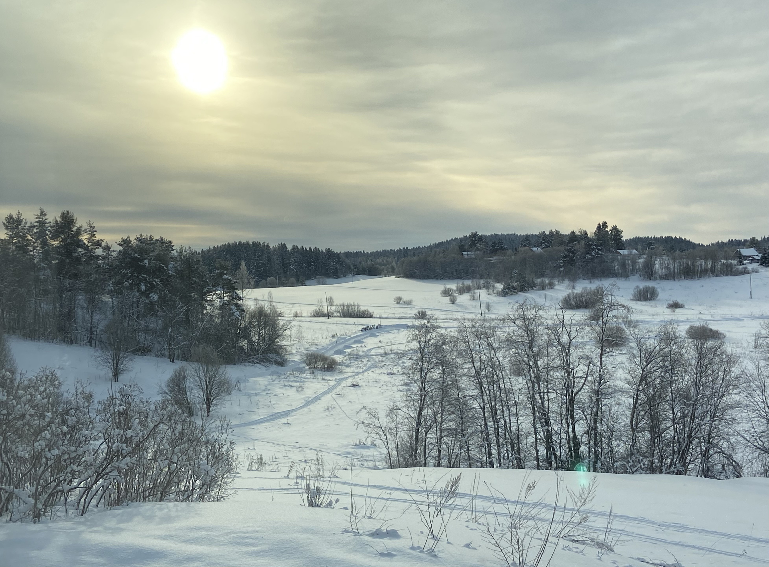 PHOTO GALLERY. DOP Yulia Popova