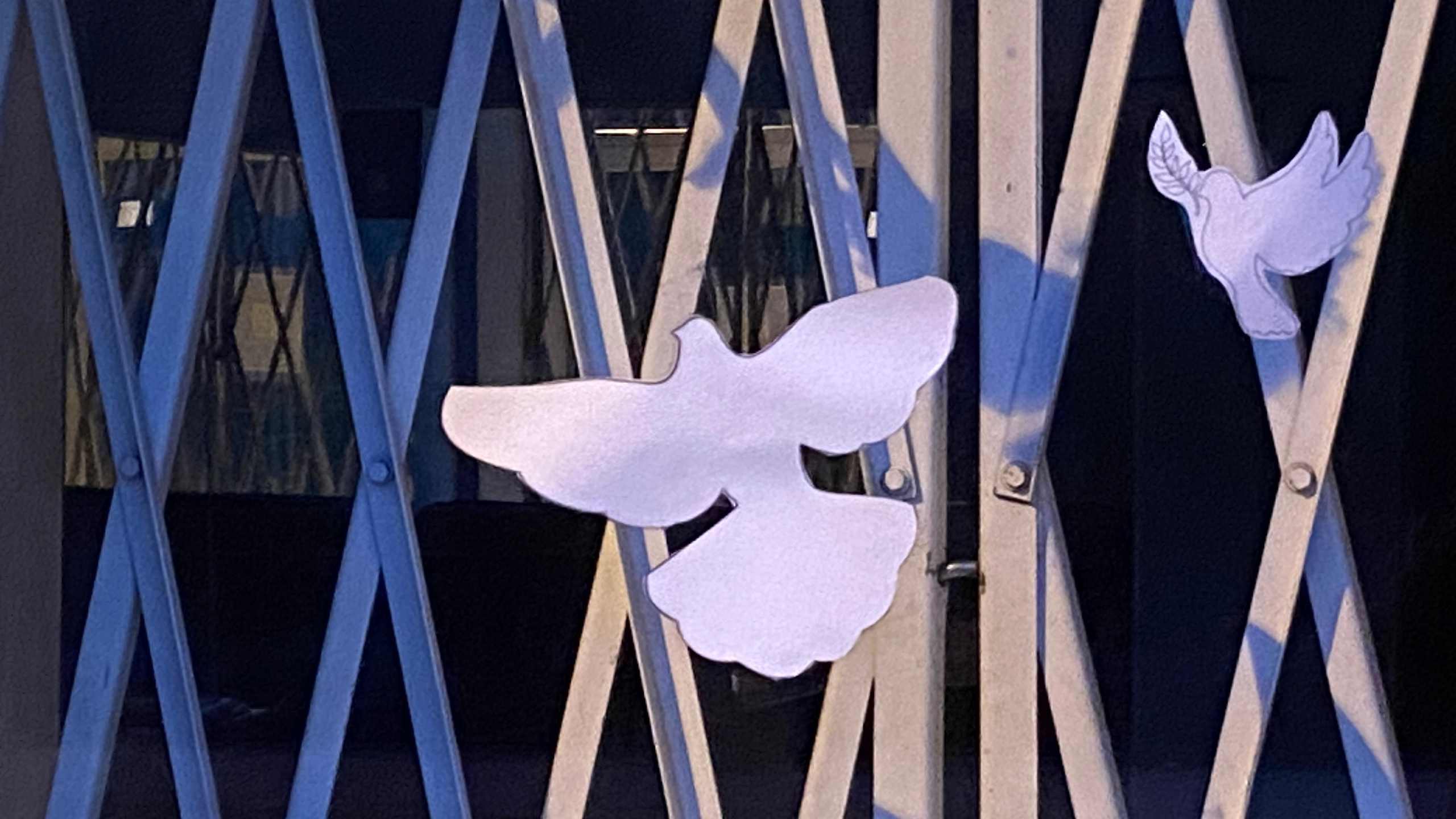 PHOTO GALLERY. DOP Yulia Popova