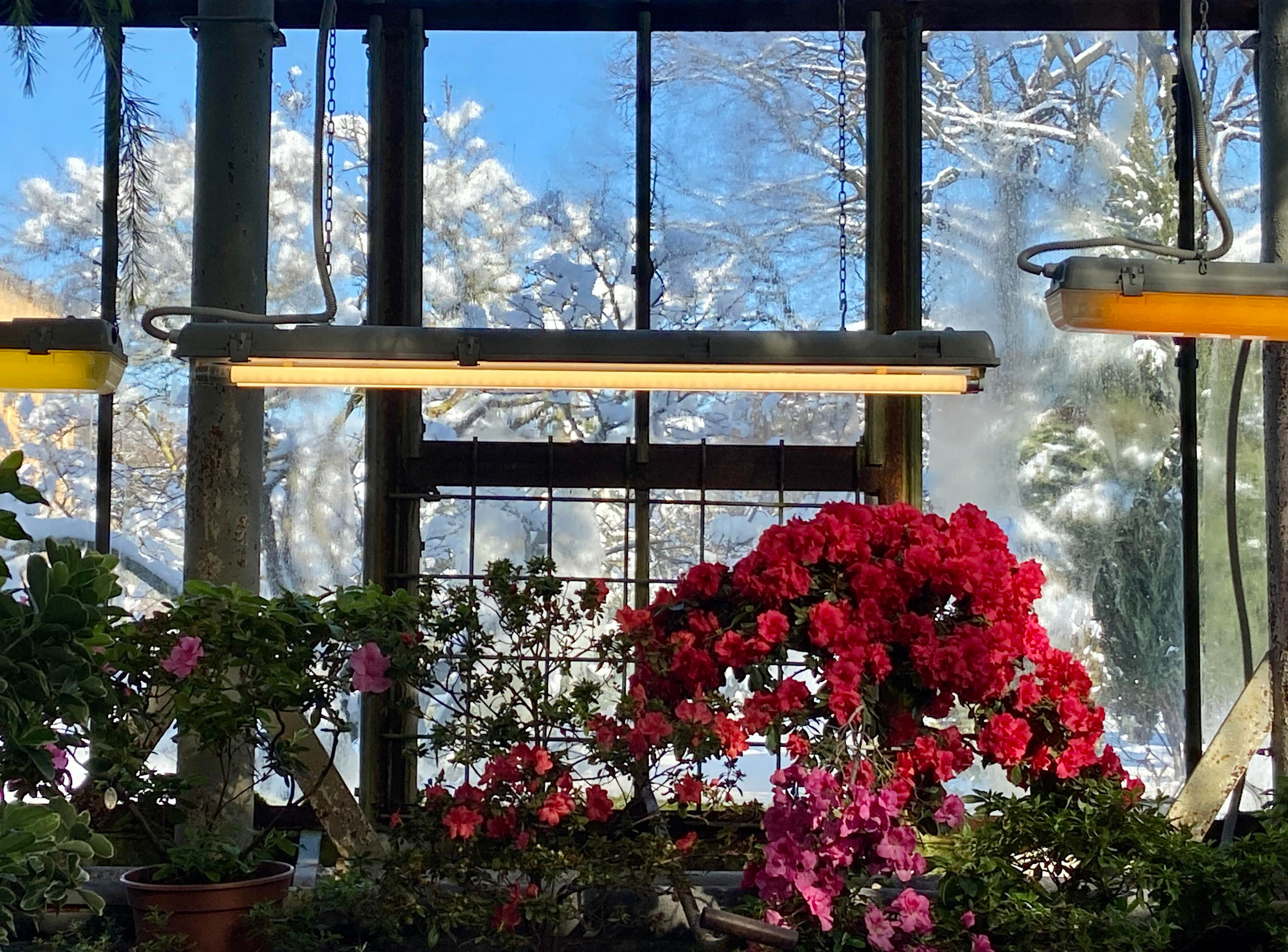 PHOTO GALLERY. DOP Yulia Popova