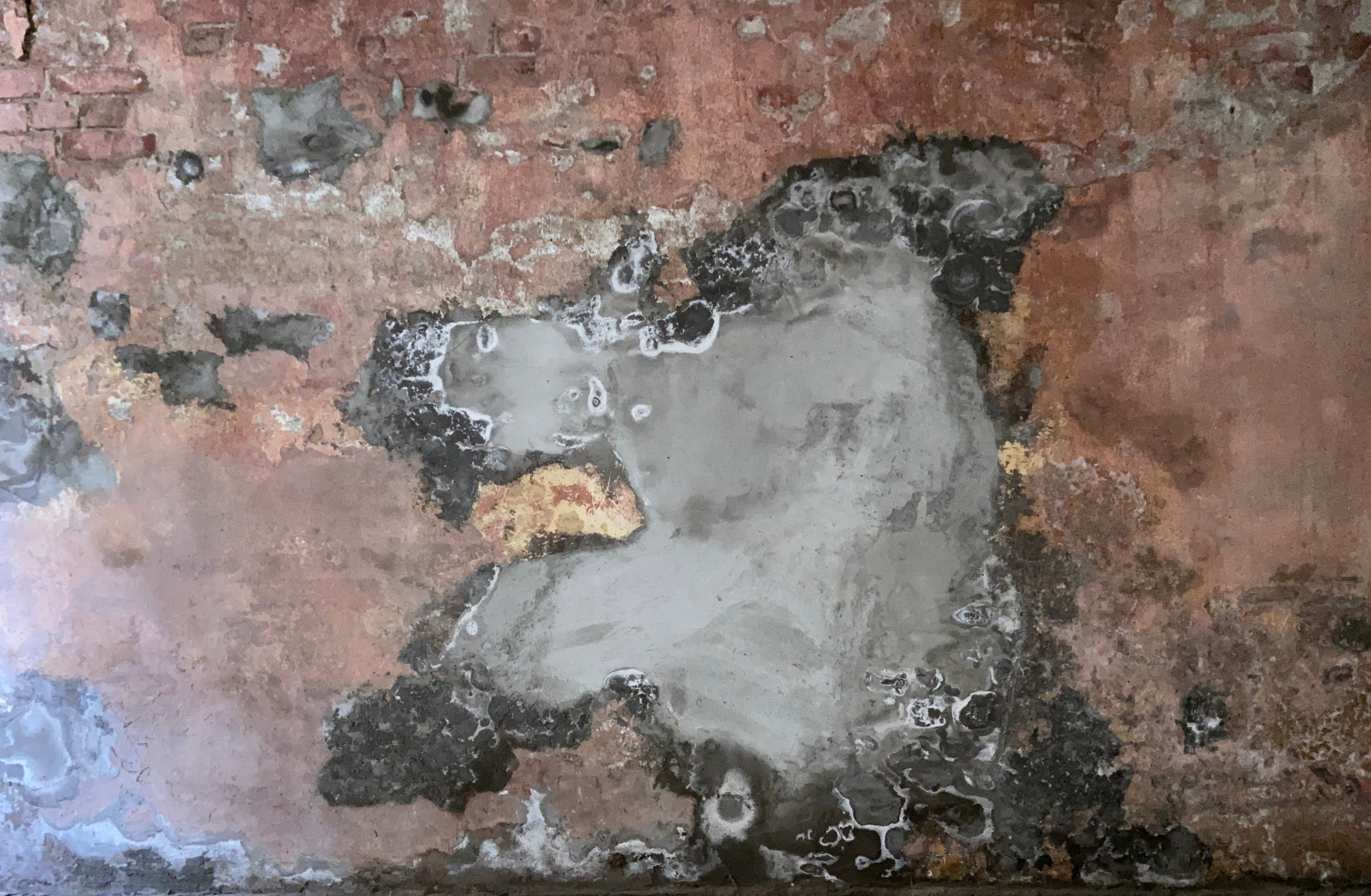 PHOTO GALLERY. DOP Yulia Popova