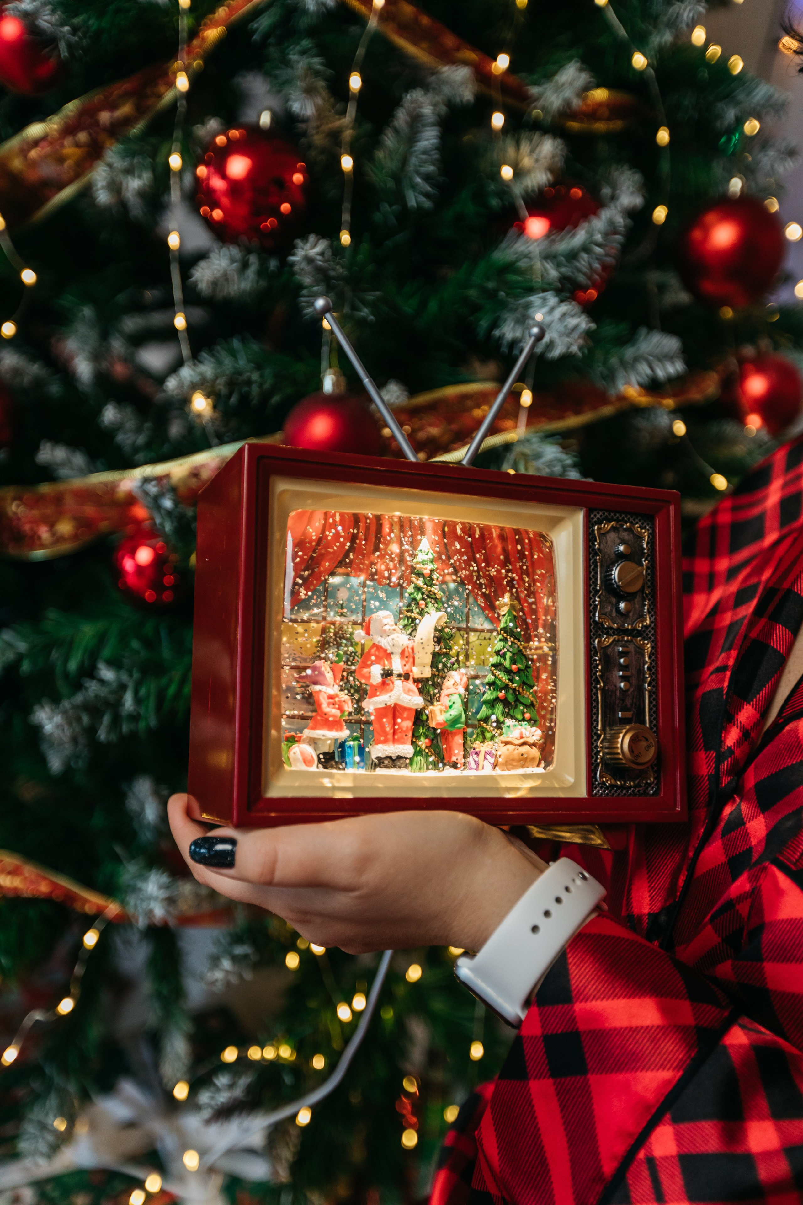 Марина и Ричи. Фотограф в Сочи. Свадебная видеосъемка Сочи