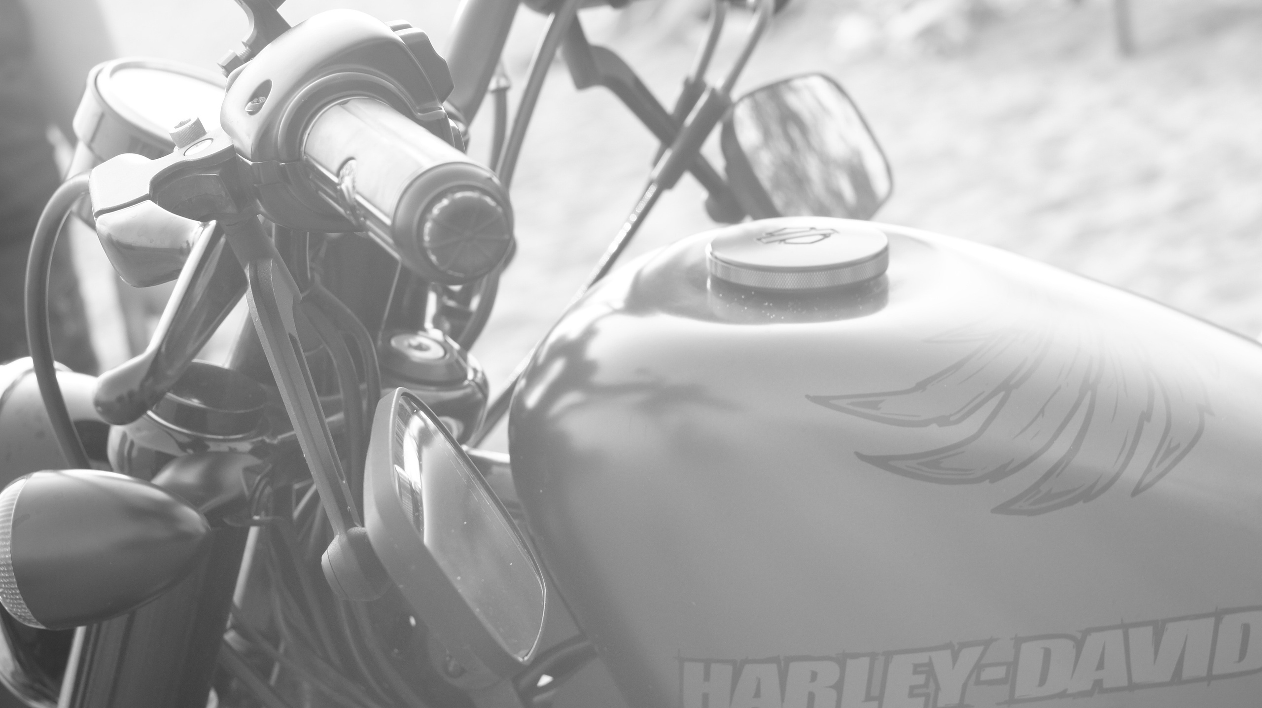 Harley. Портретный фотограф в Санкт-Петербурге Юлия Чудикова