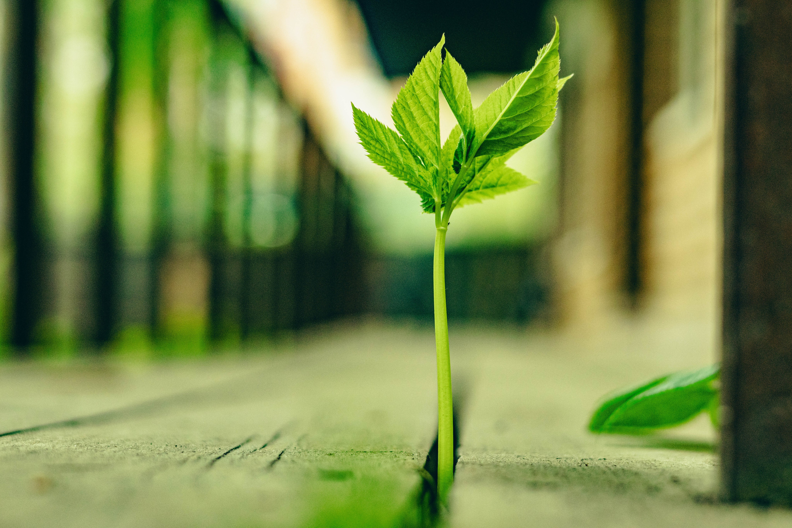 Москва. Jean De Vivre Gallery