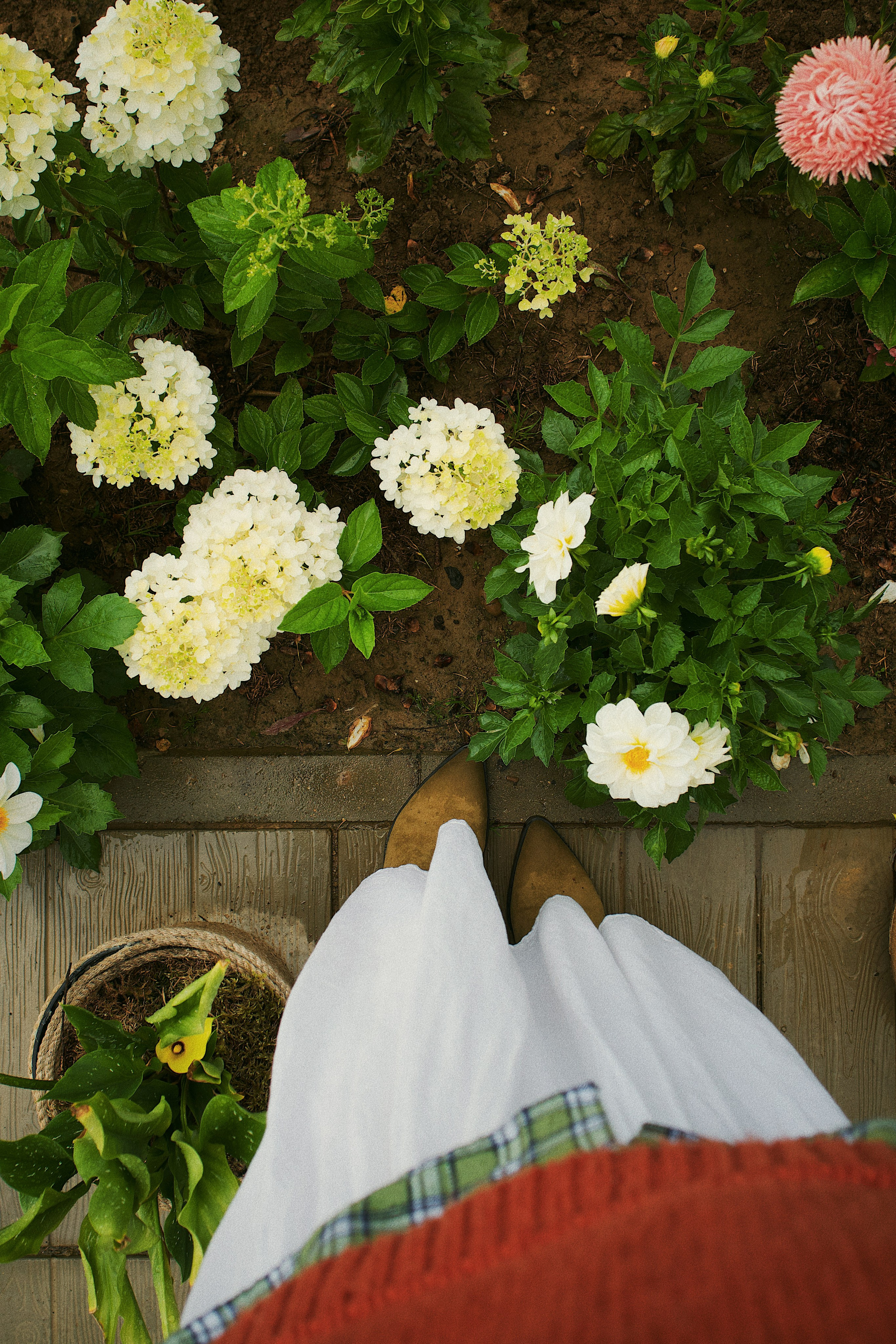 Fazenda. Photokoval.ru