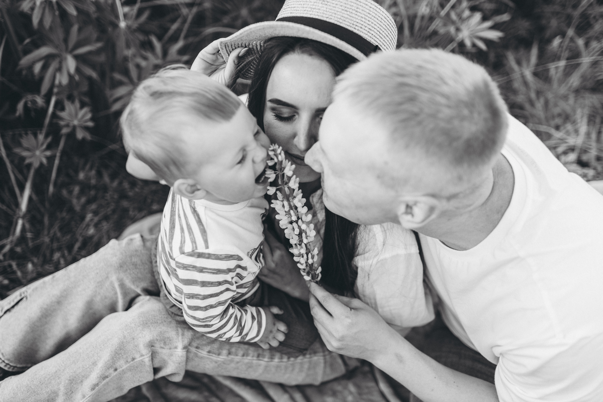 Прогулка по люпиновому полю с Лешей, Кристиной и Мишенькой. Мария Беседина. Фотография о любви